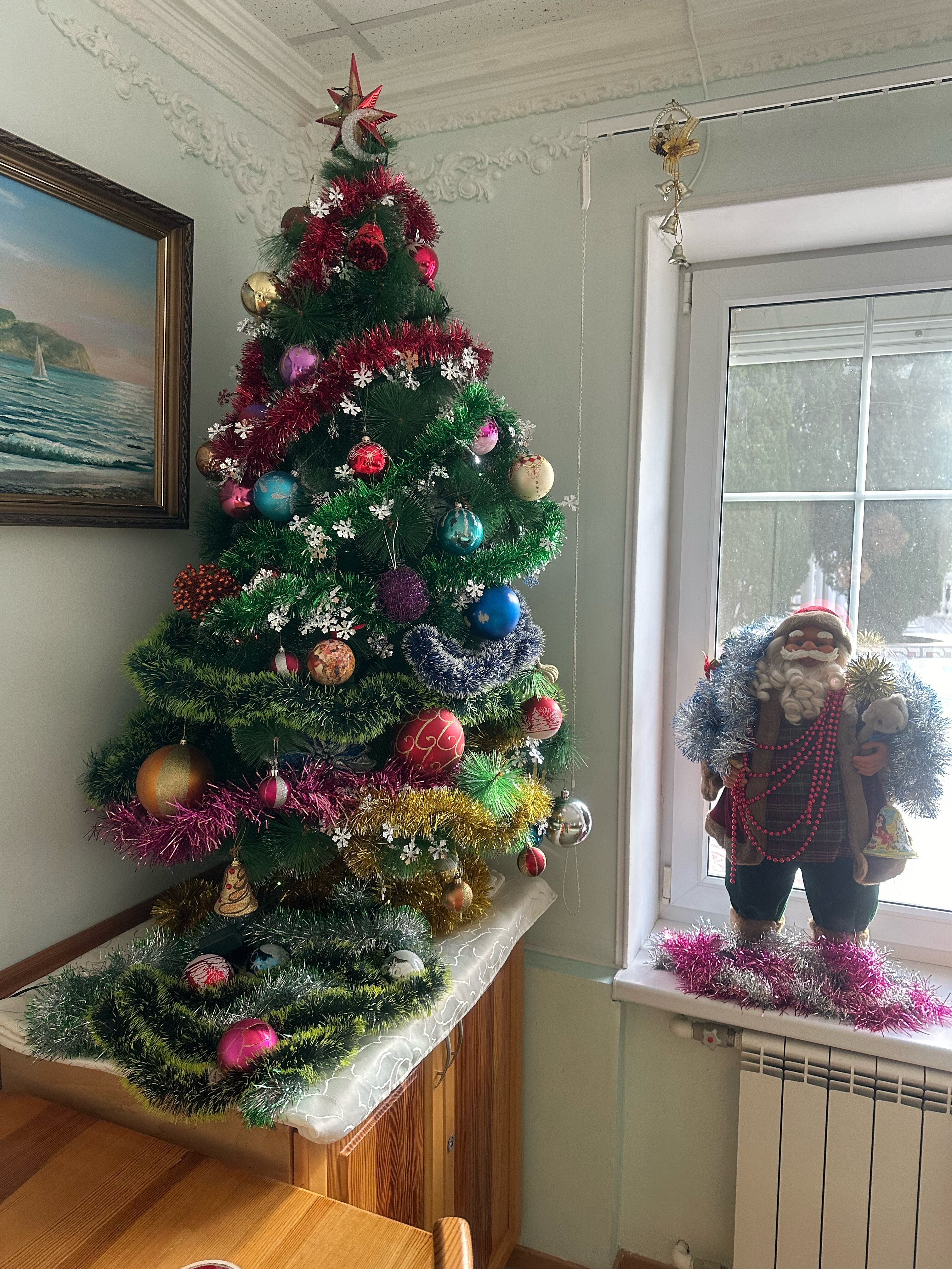 Фото Климентина