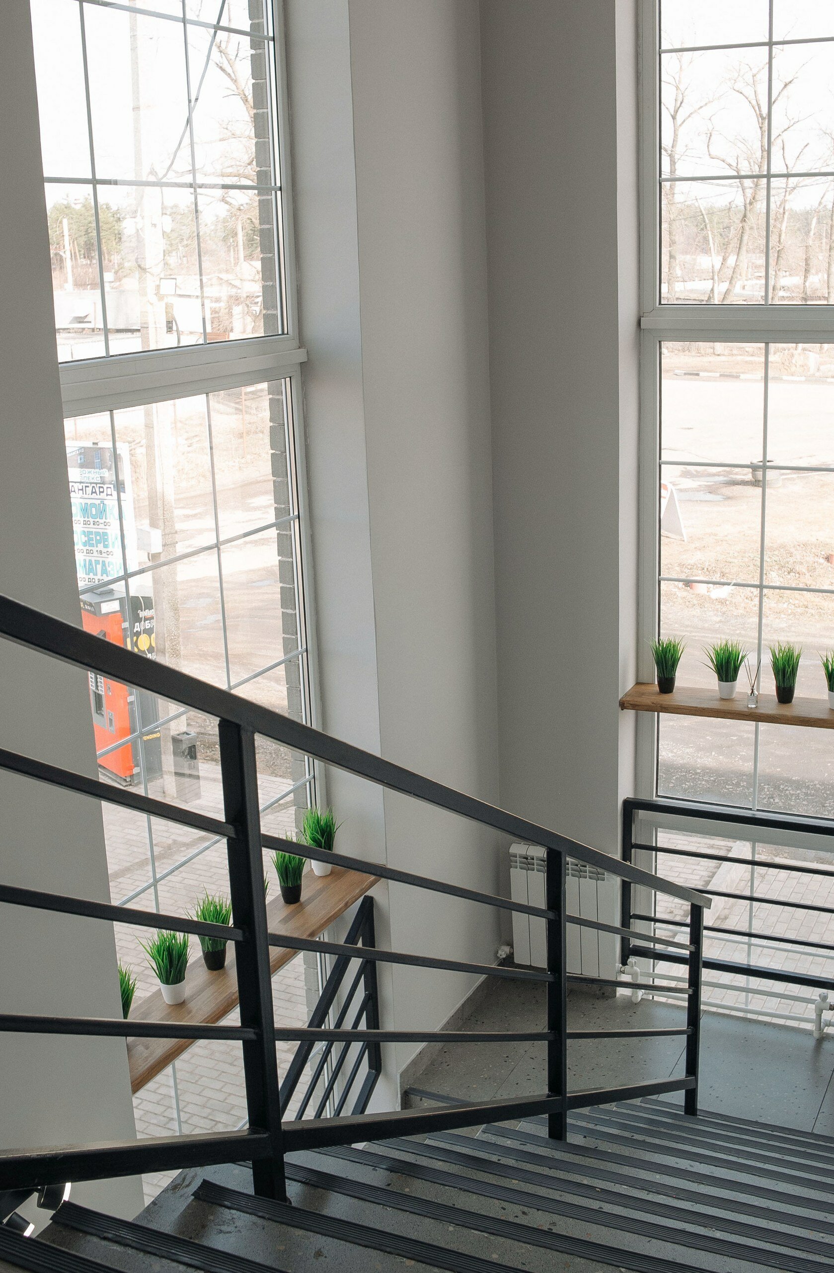 Фото Авангард