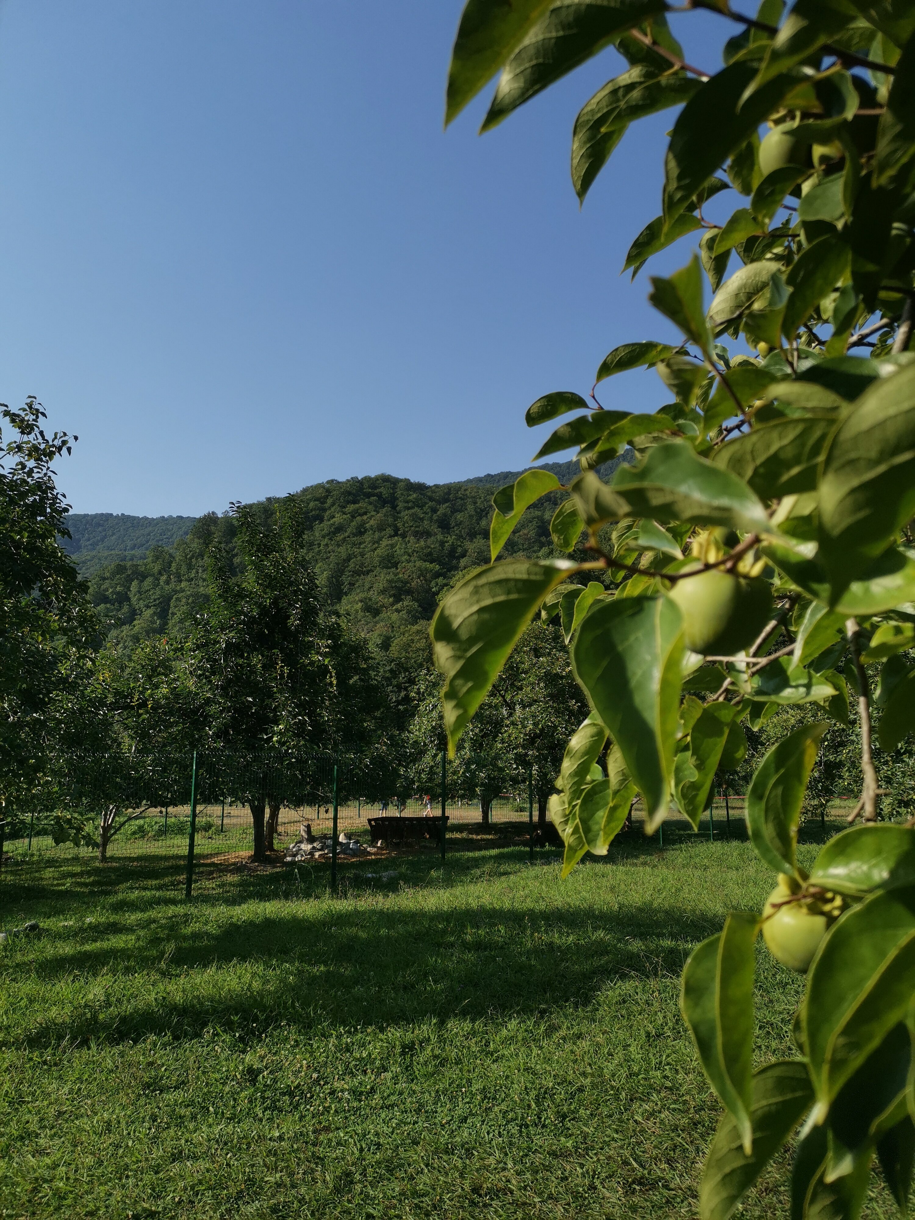 Фото Маргарита