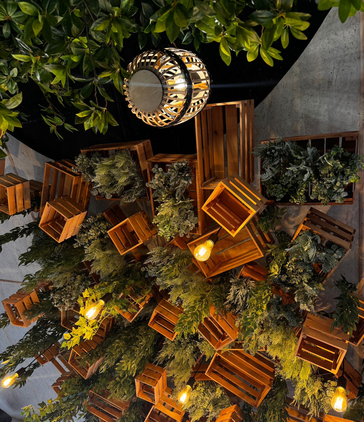 Фото Атмосфера