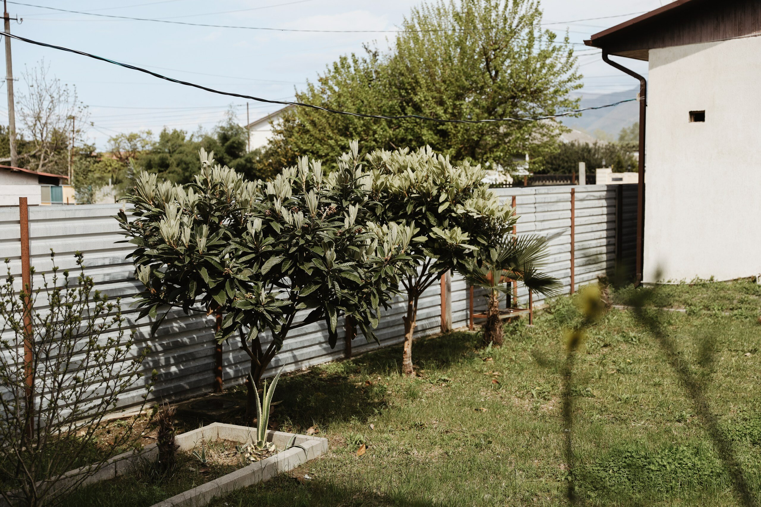 Фото Мини-отель Лея