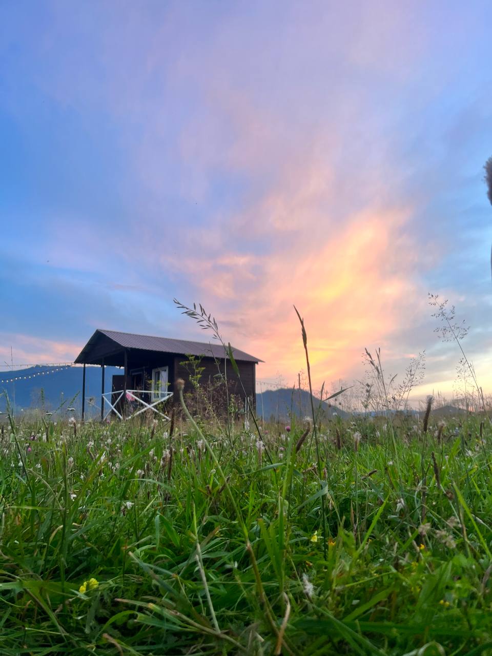 Фото Ёжкины дачи