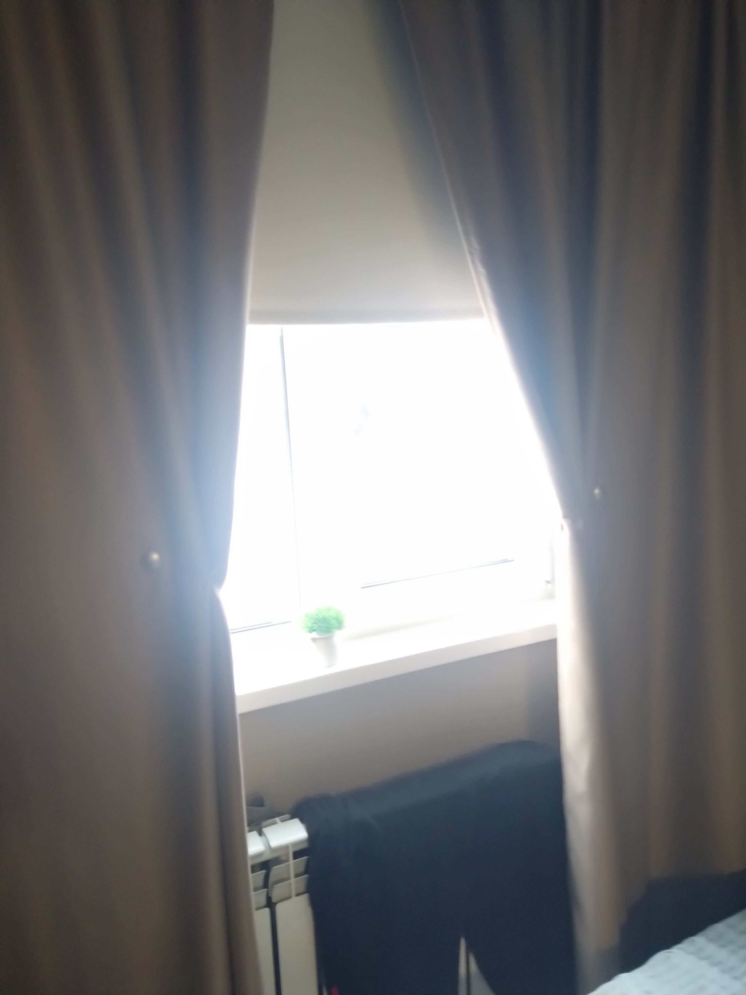 Фото Самител