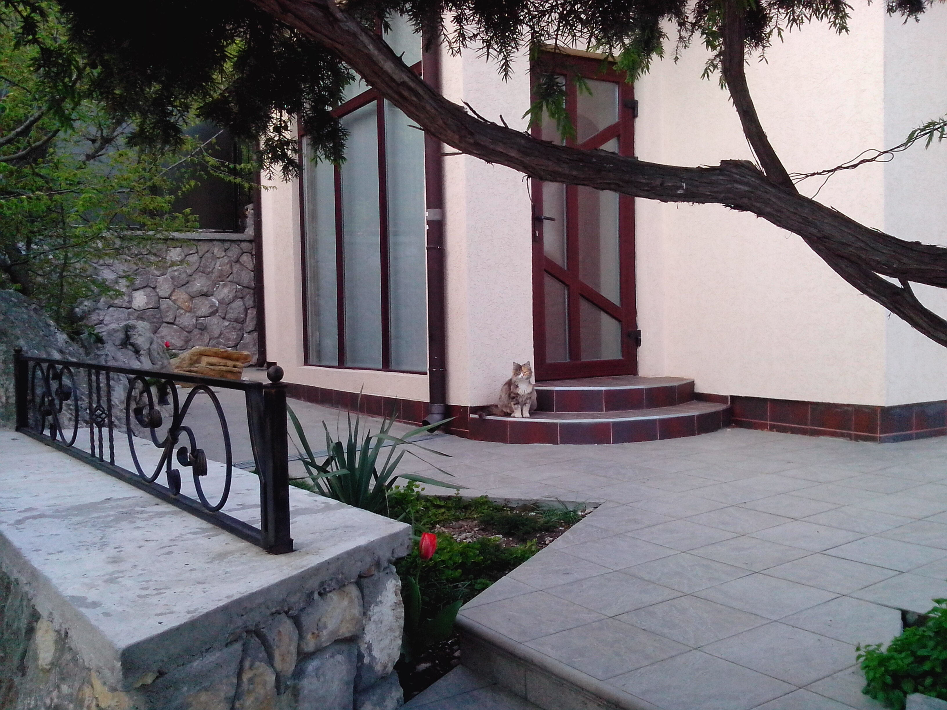 Фото Azure Marina