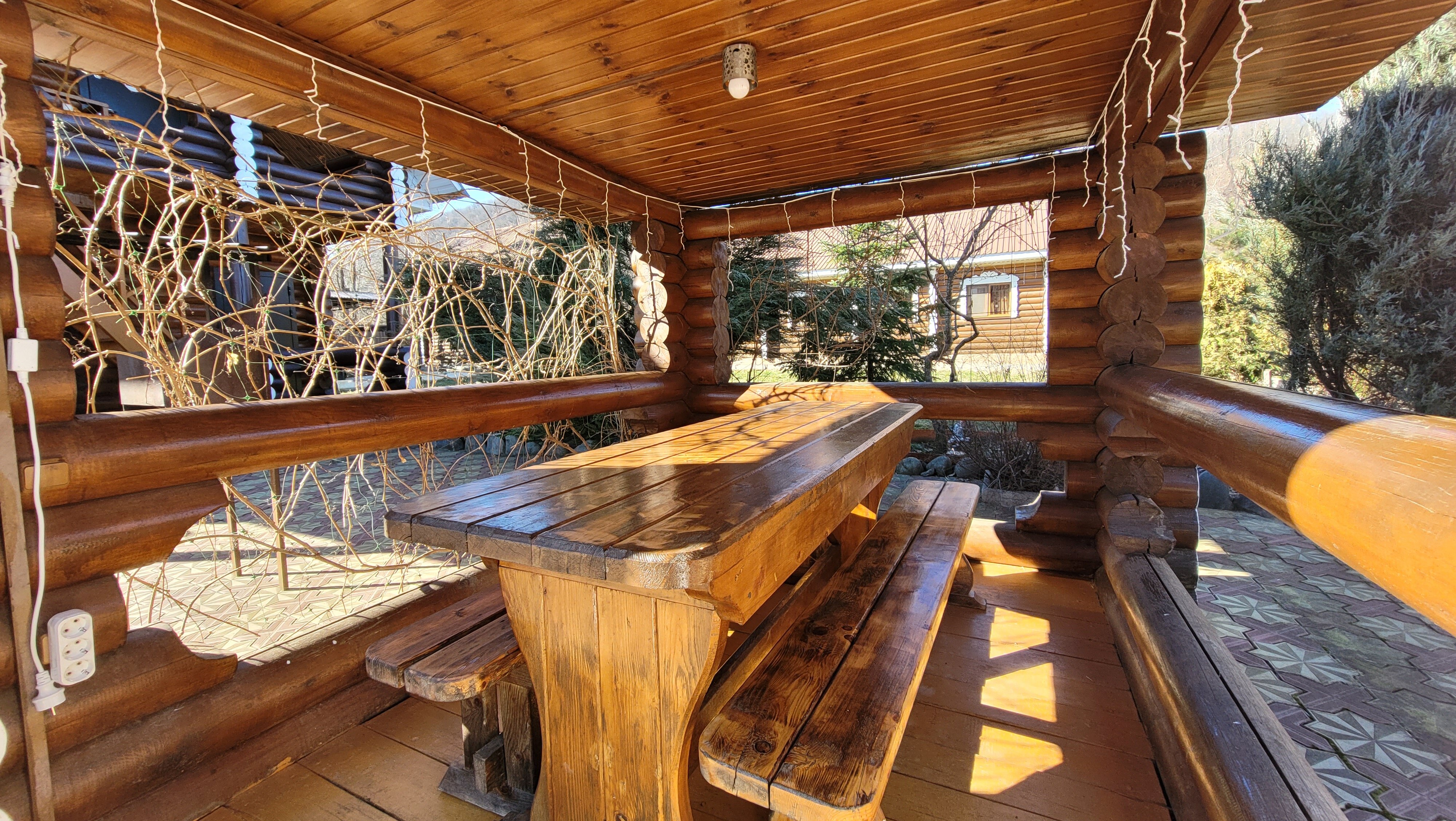 Фото Солнечная