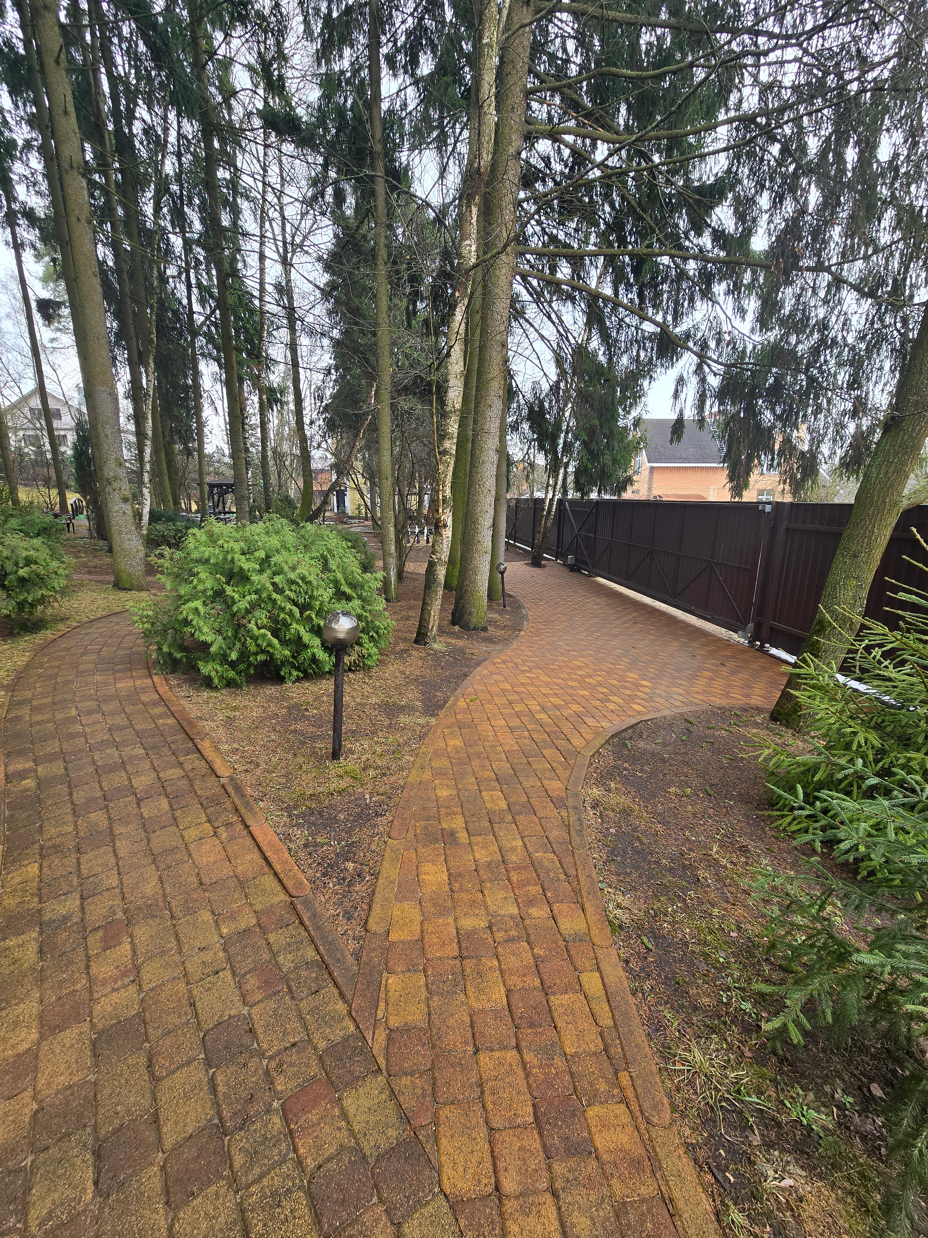 Фото Зеленый пейзаж