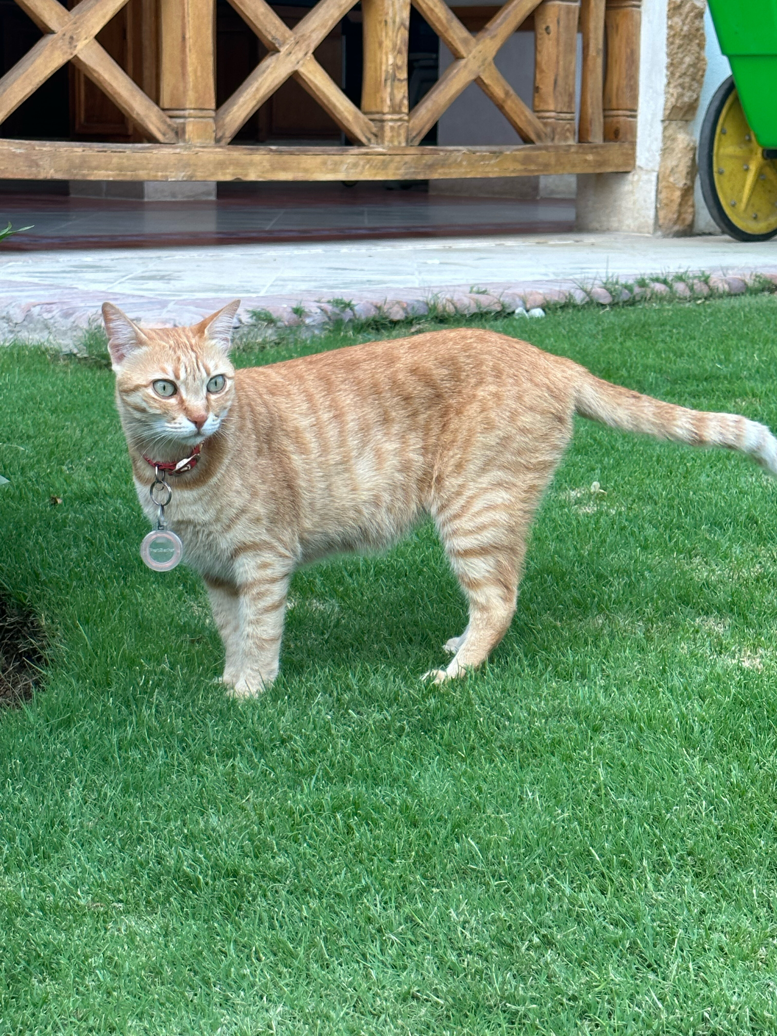 Фото Sunrise Remal Resort