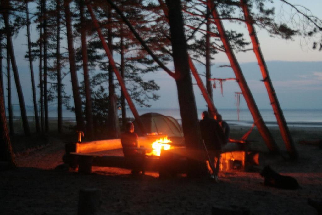 Фото Wind hunters station