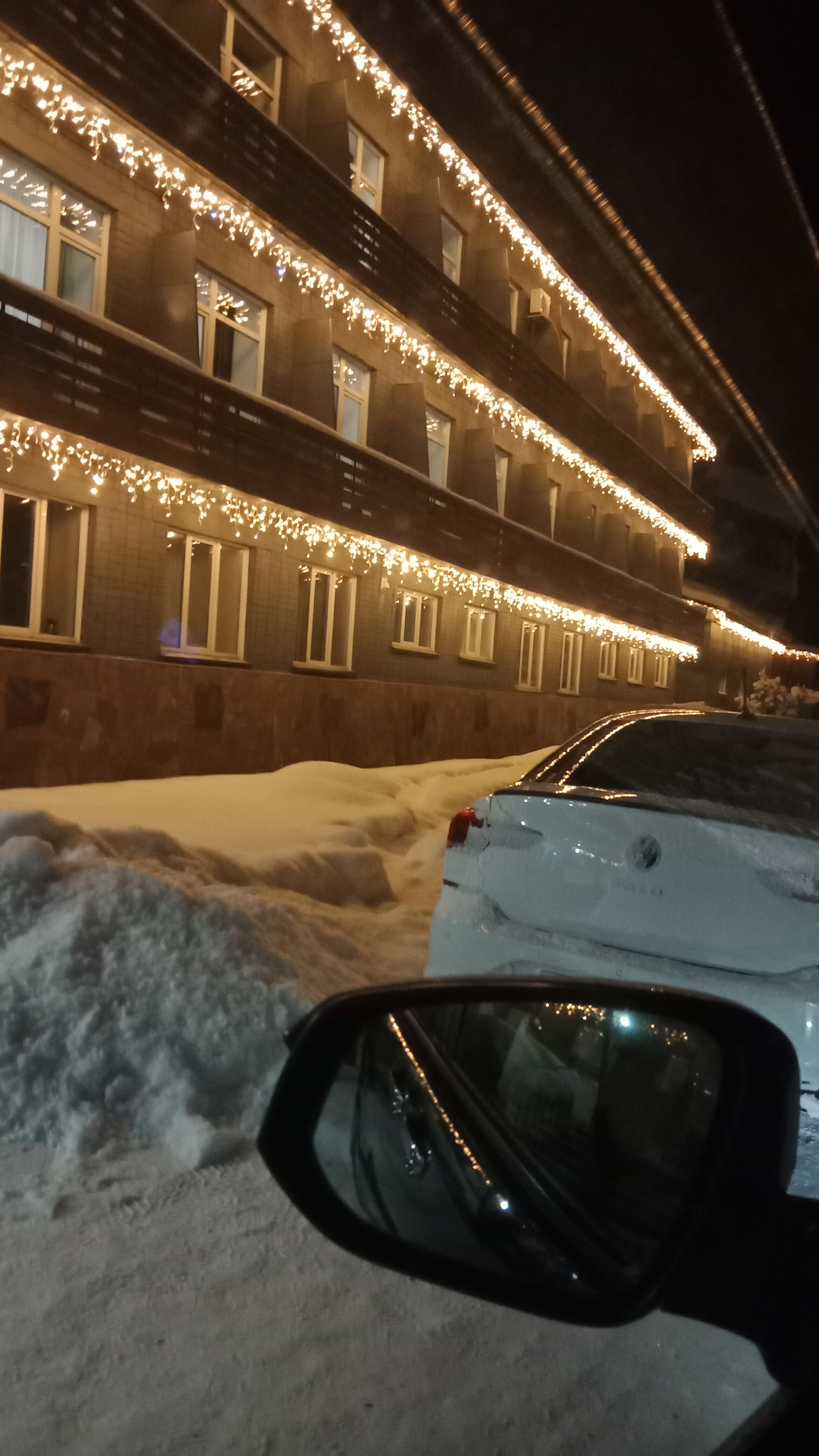 Фото Ромашка