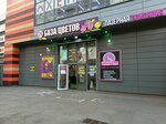 Цветы (Kirova Street, 2) ، محل زهور