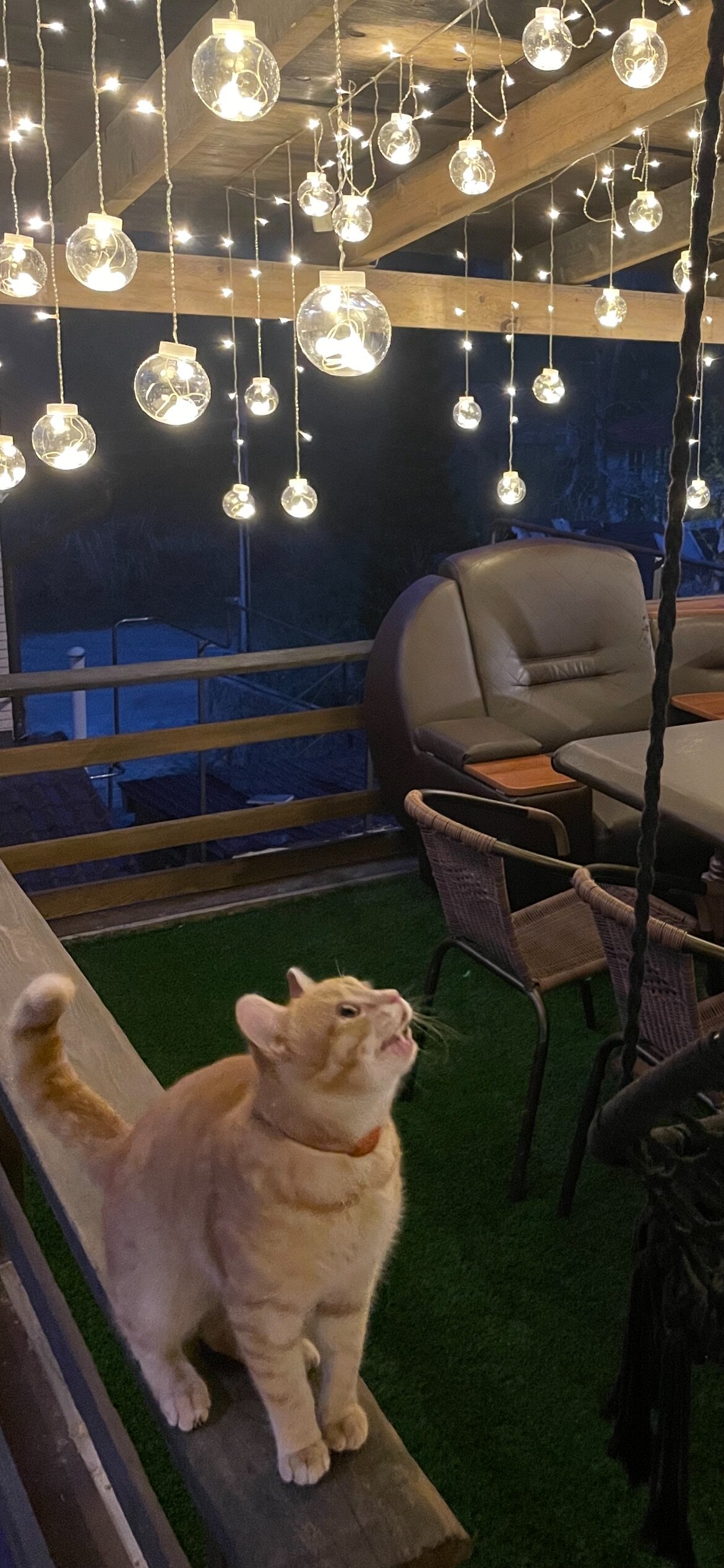 Фото Радевичи