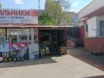 Ремонт инструмента (Majakowskaga Street, 184В/1), tool repair