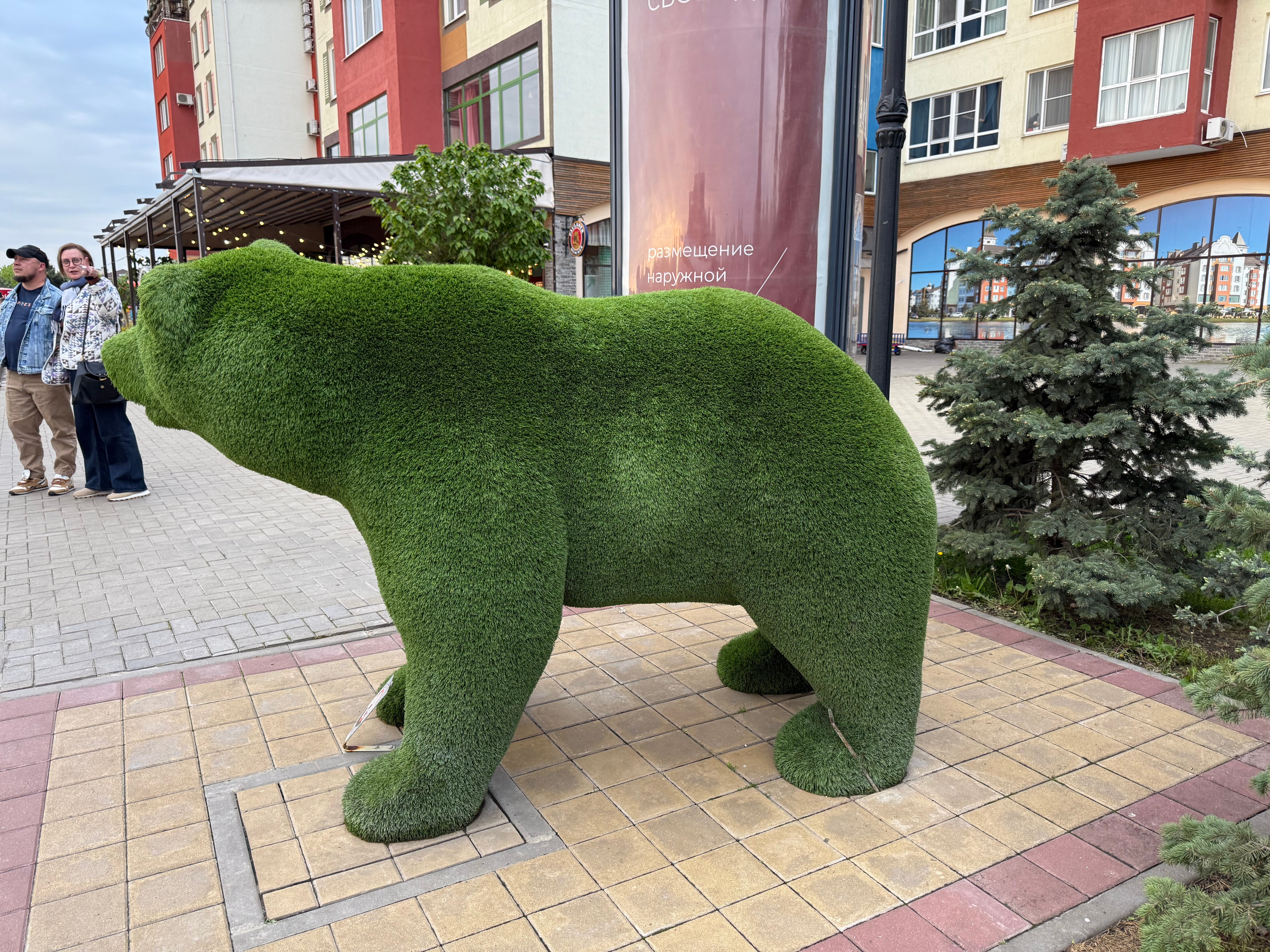 Фото Мюллер Бах