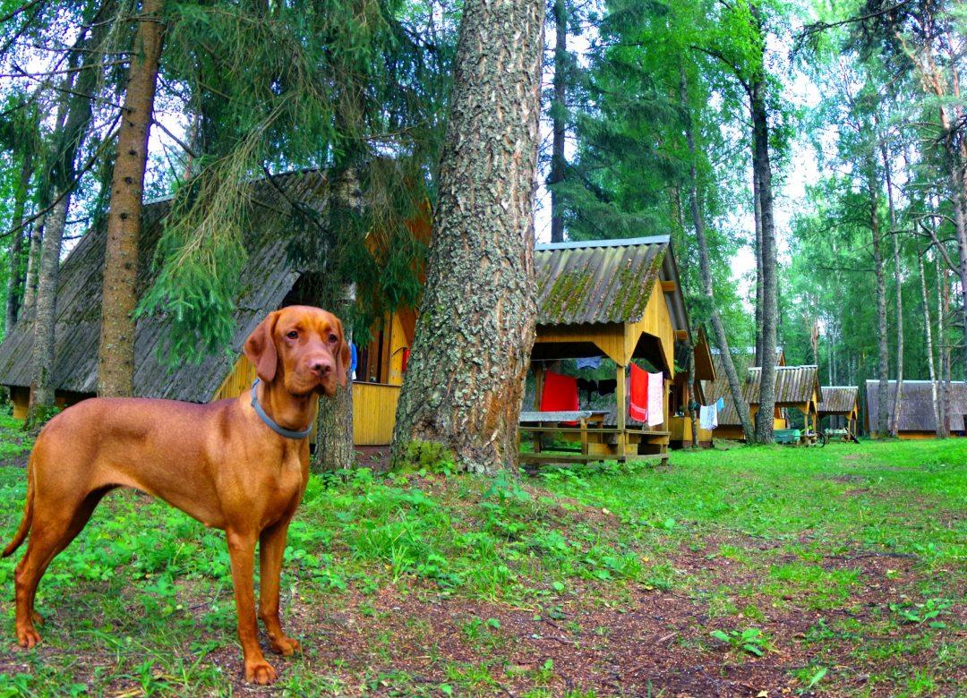 Фото Коломно