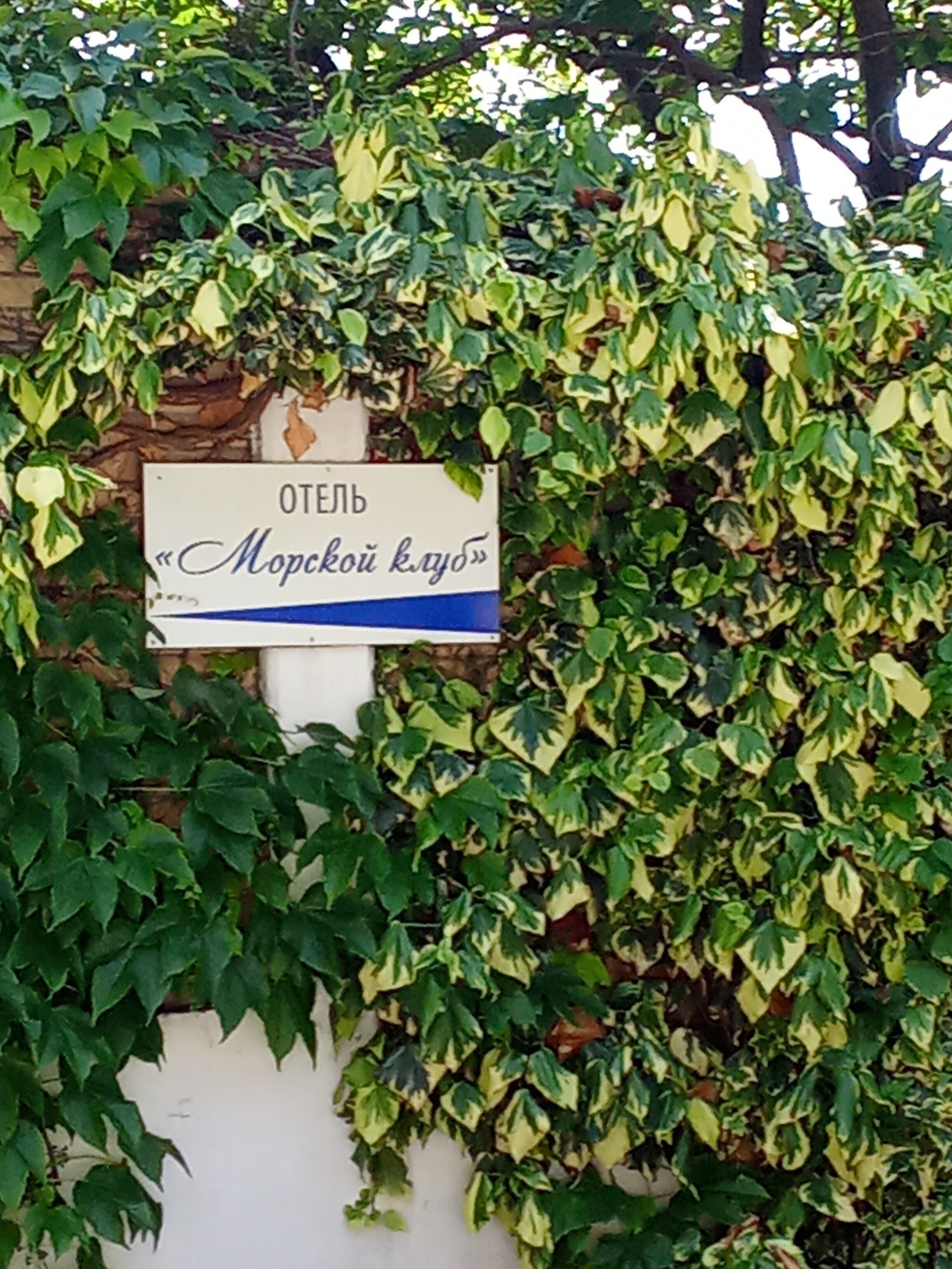 Фото Морской клуб