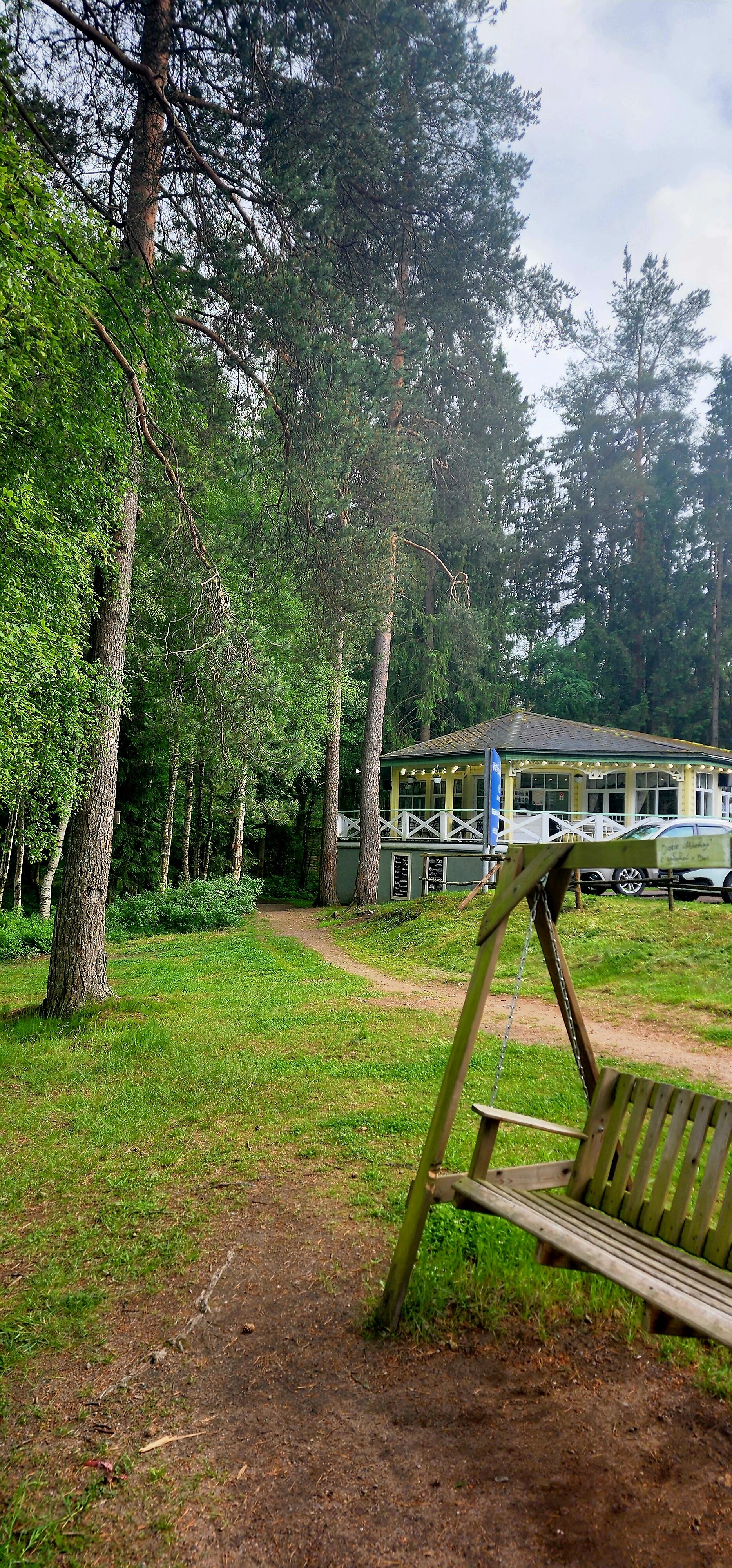 Фото Уютная Орхидея