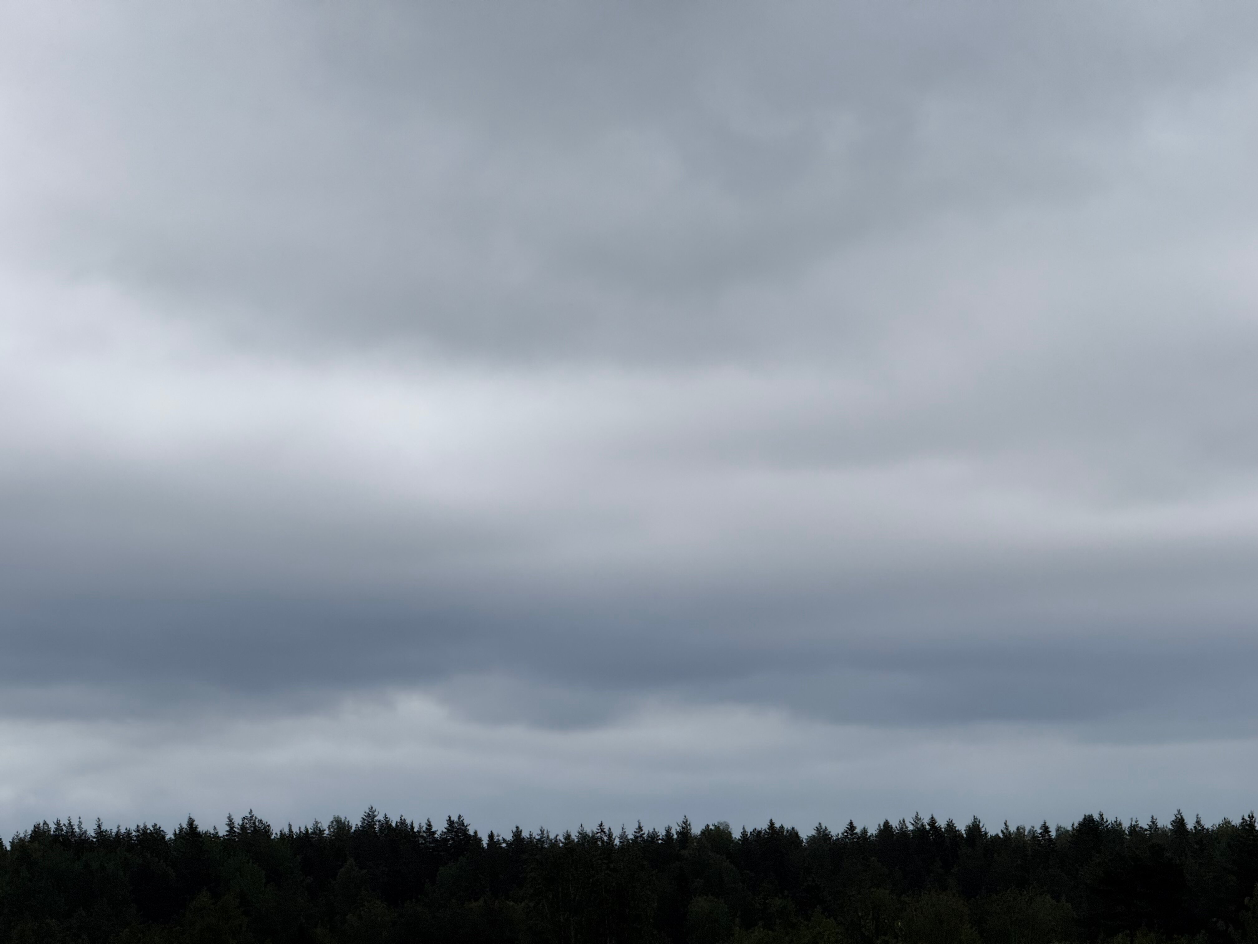 Фото Загородный клуб Репино-Ленинское