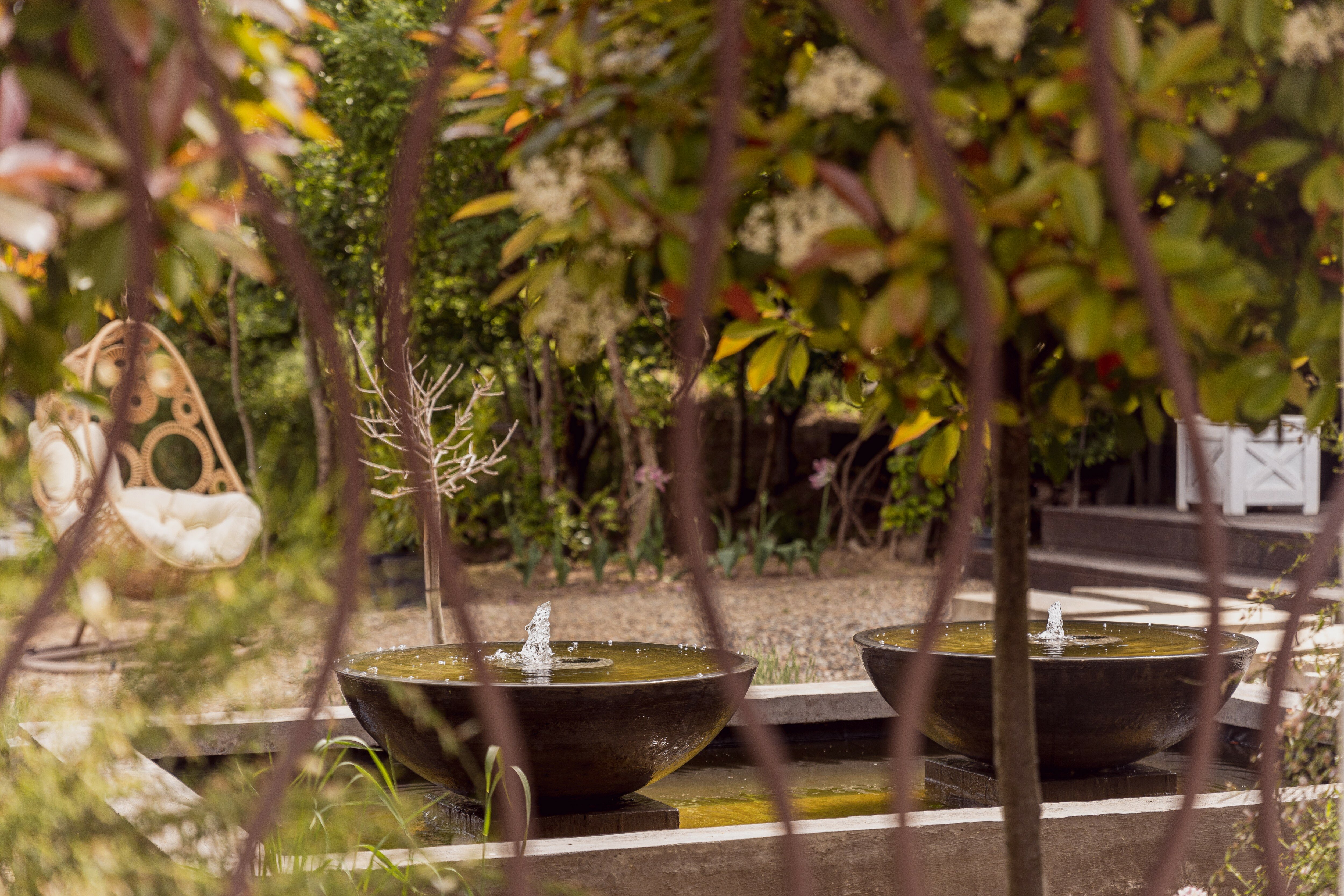 Фото Abrau Garden