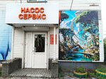 Nasos Service (prospekt Tsiolkovskogo, 19), pumping equipment