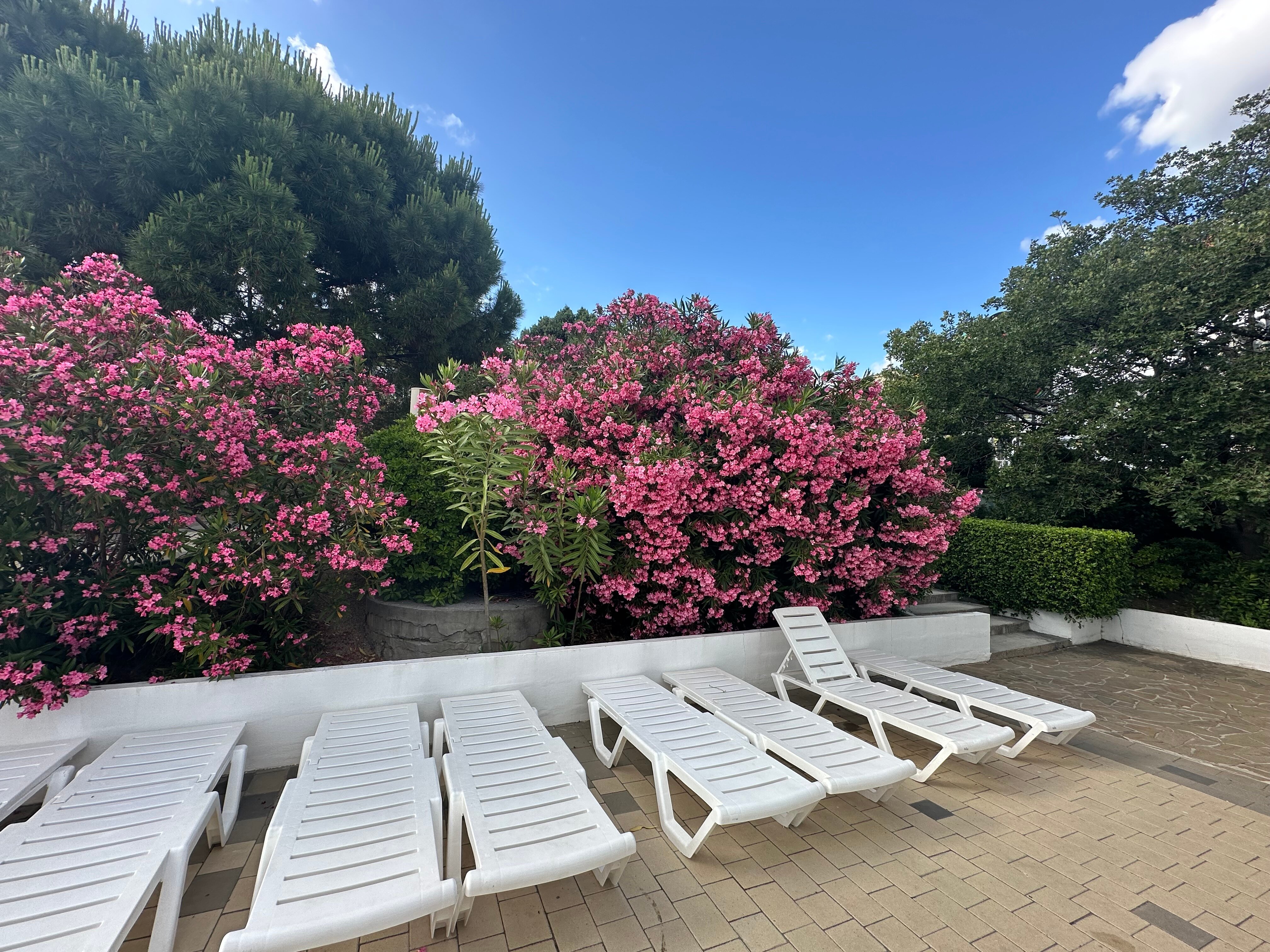 Фото Гостевой комплекс Аквапарк Симеиз