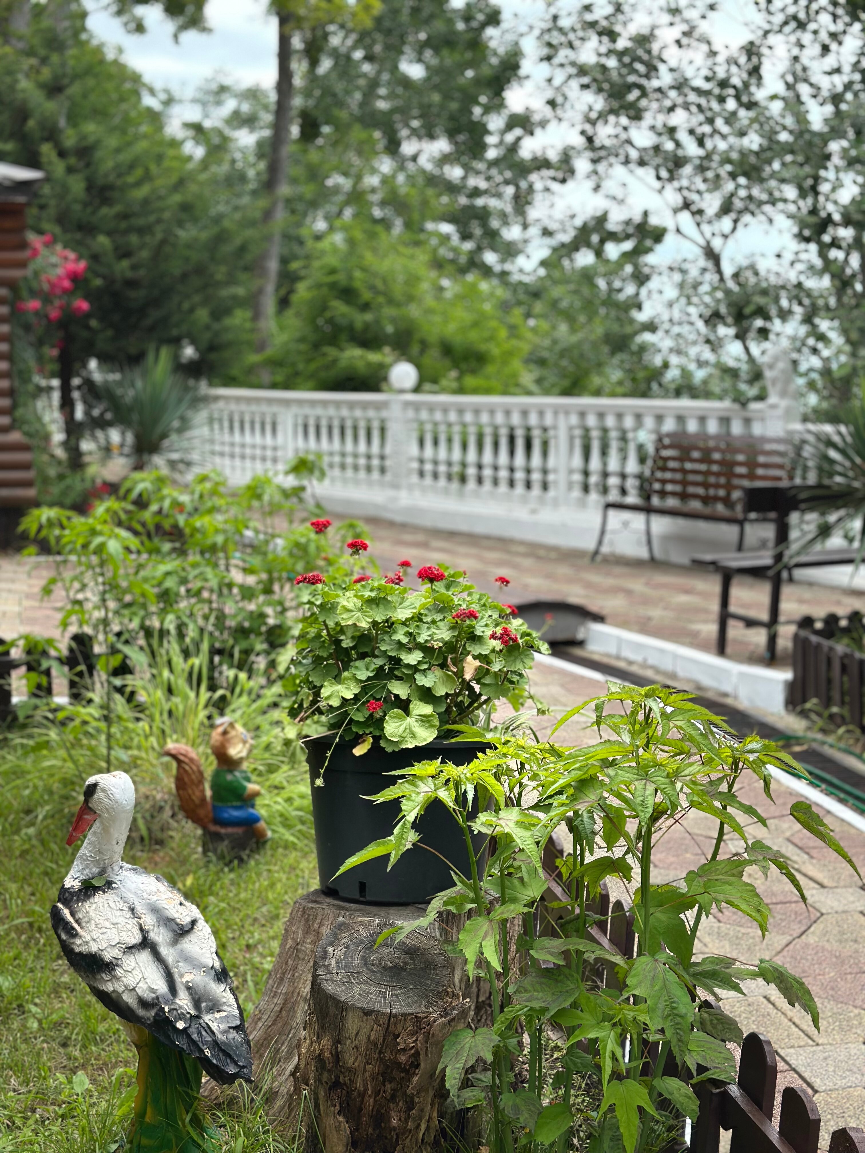 Фото Лазурит