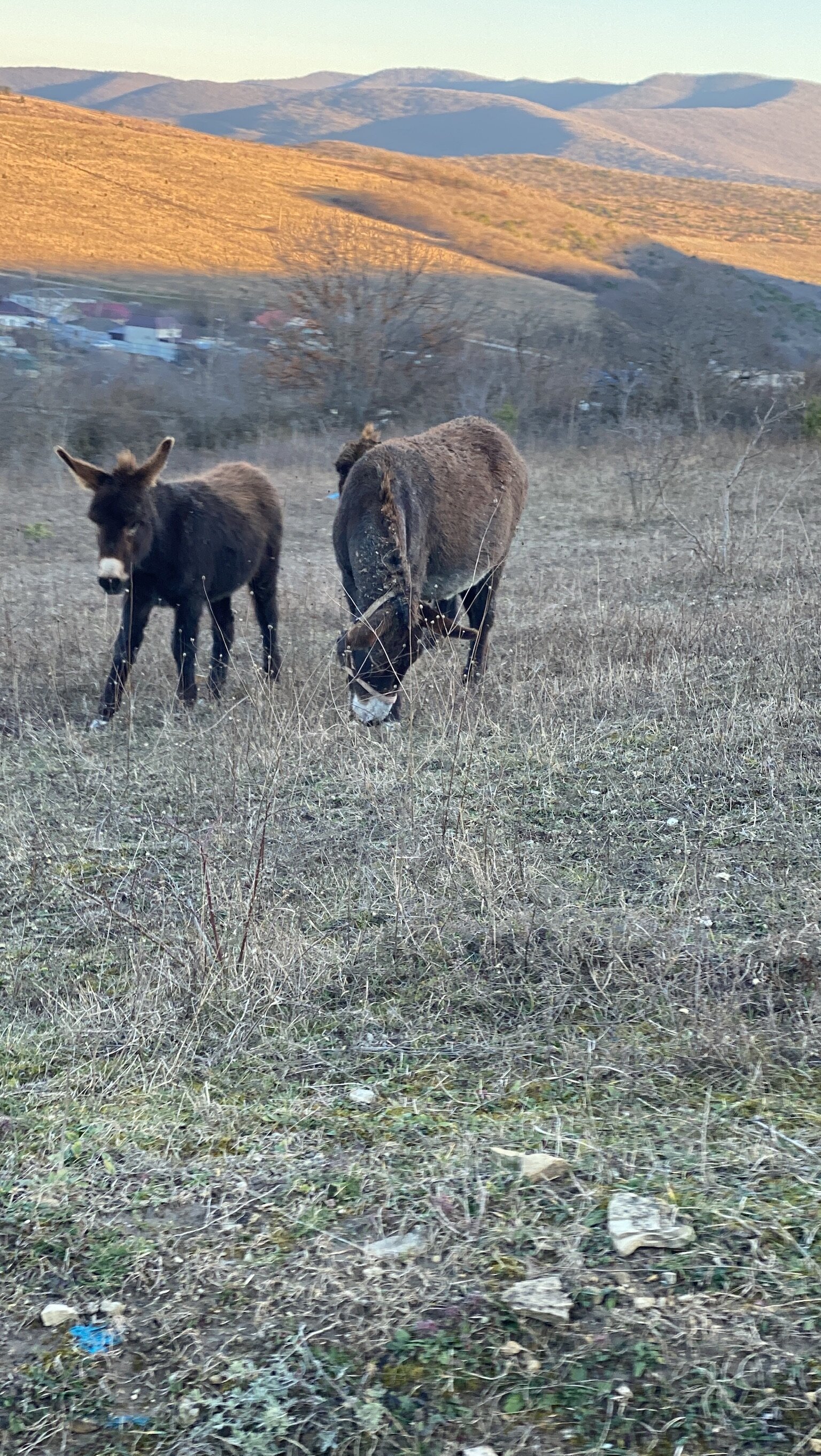 Фото Наша Чаша