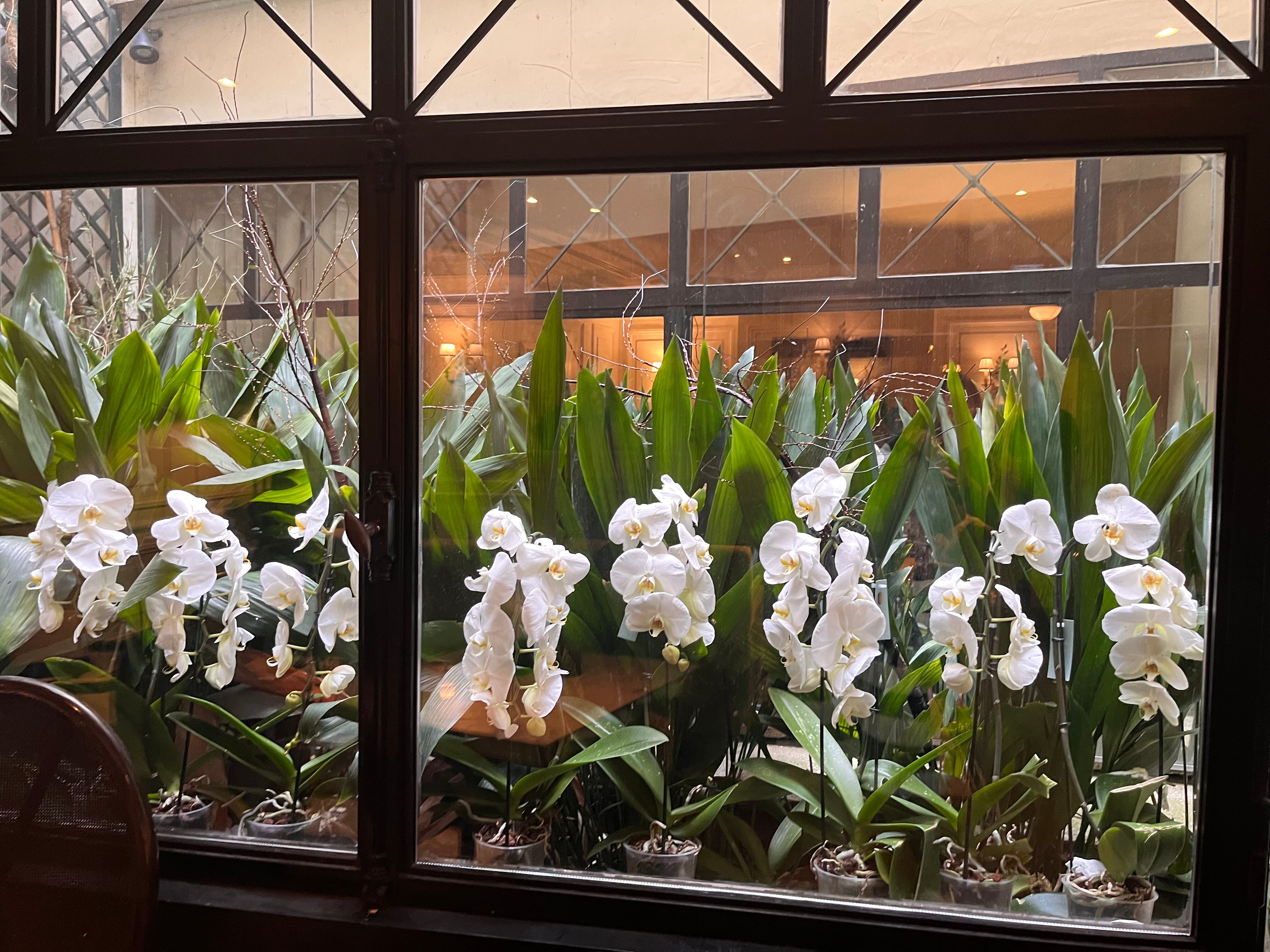 Фото Hotel Francois 1er