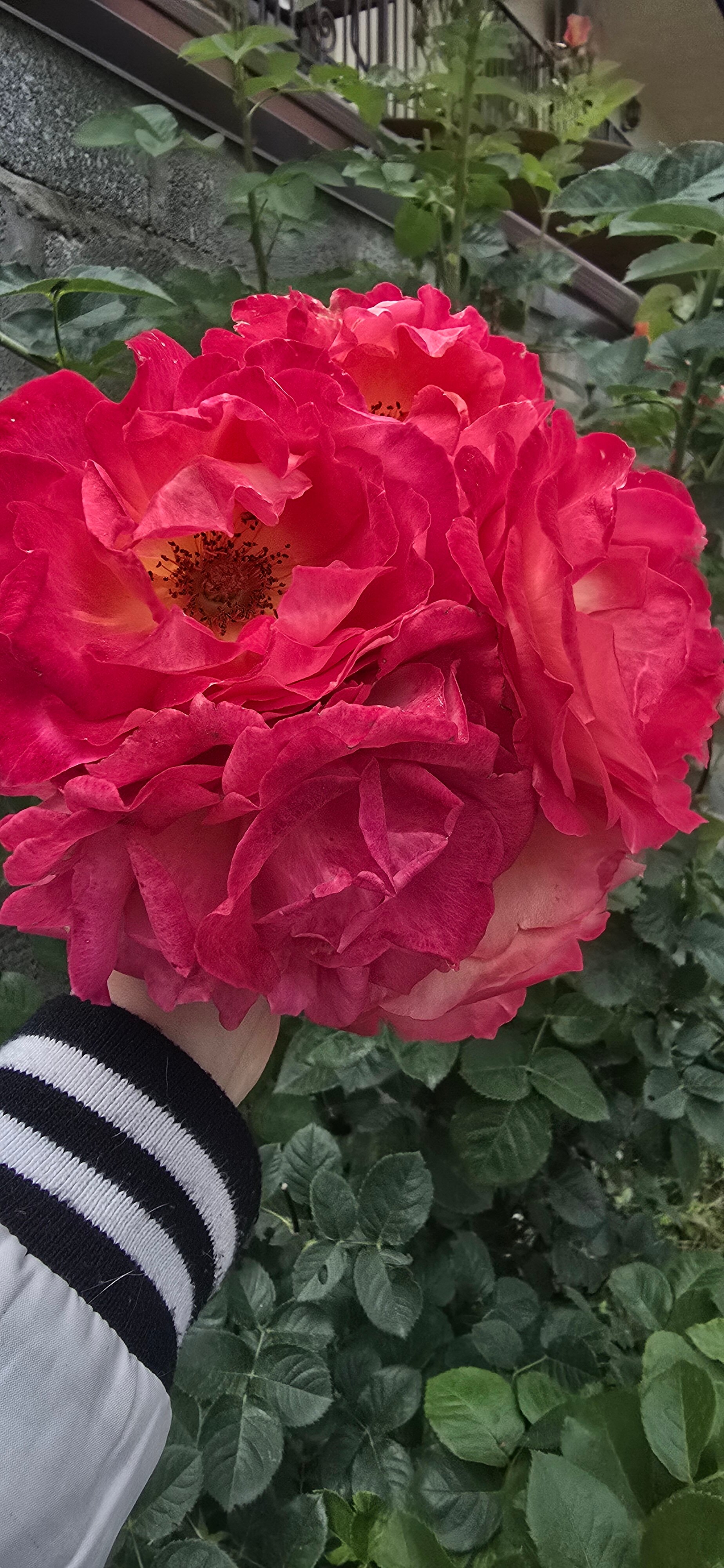 Фото Югория