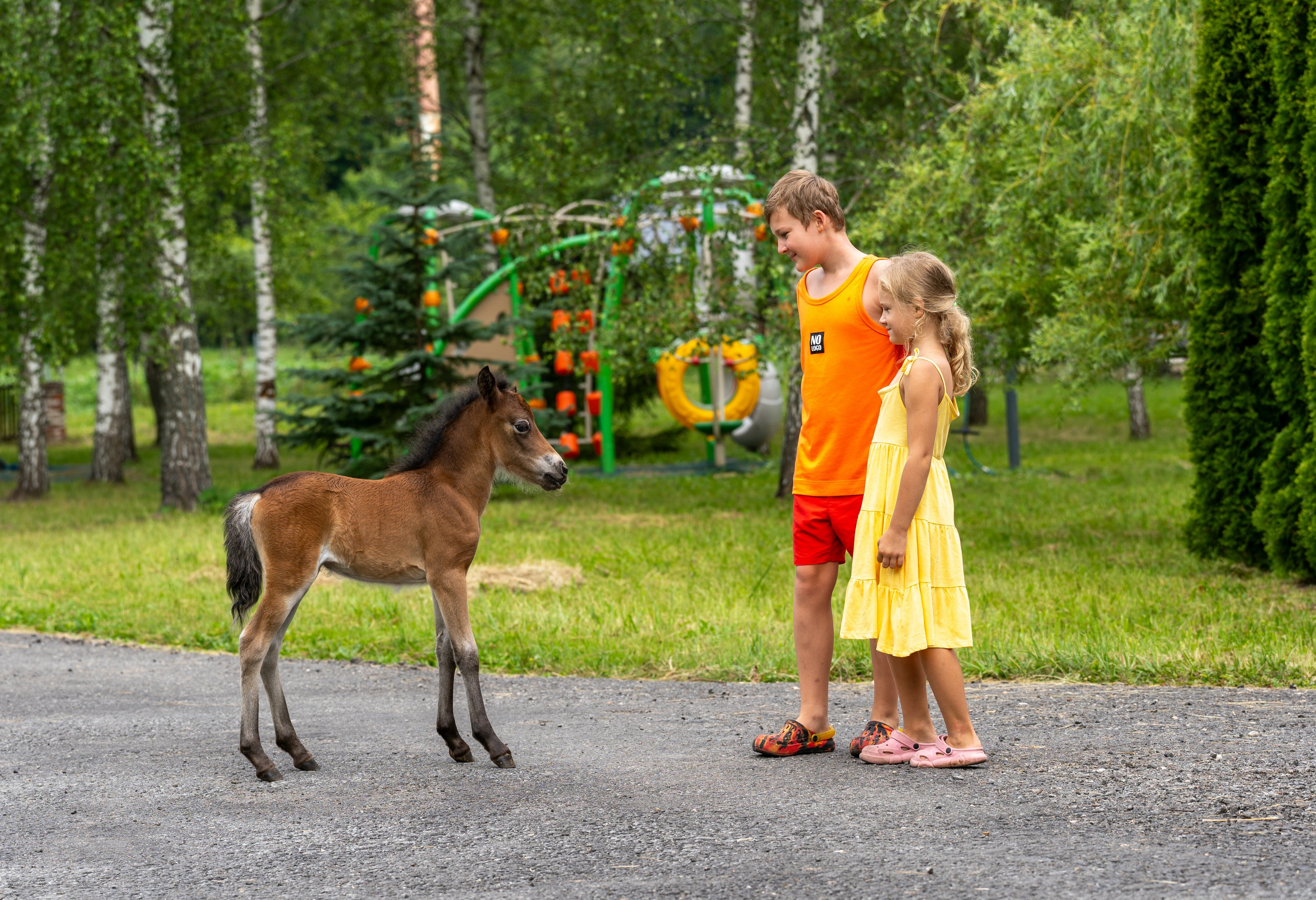 Фото Дом на Лесной Опушке