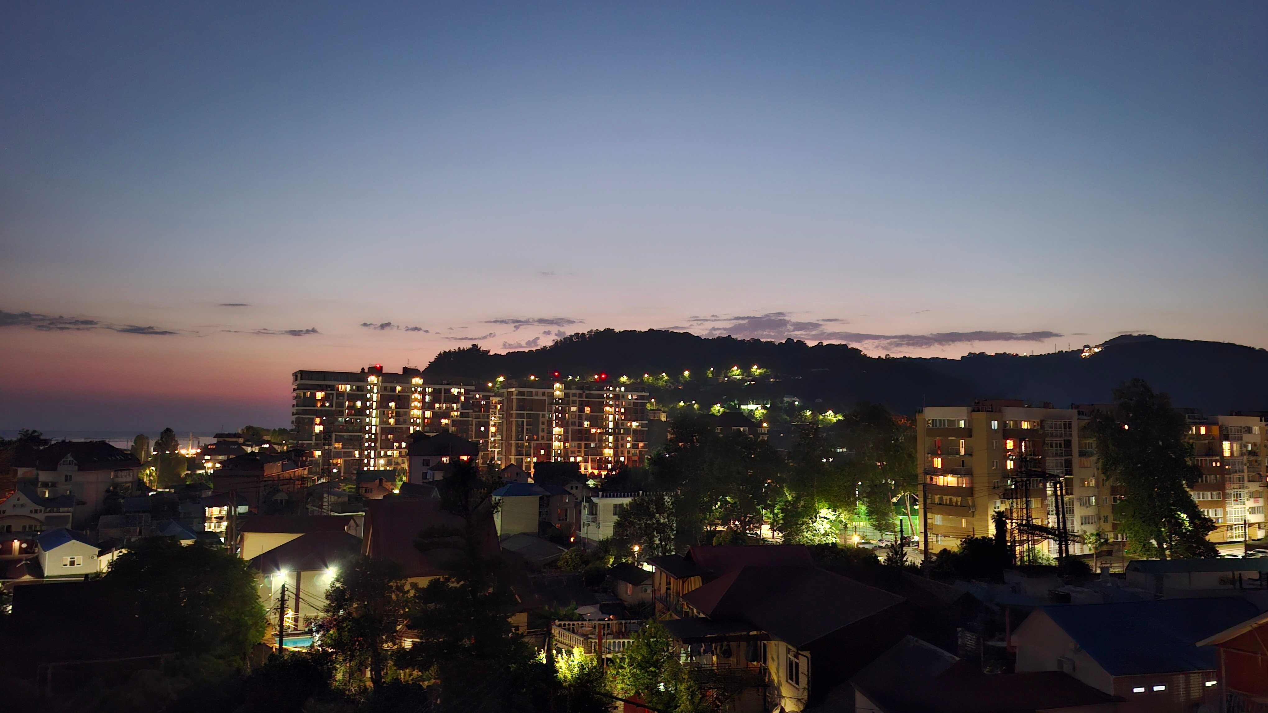 Фото Дельфин