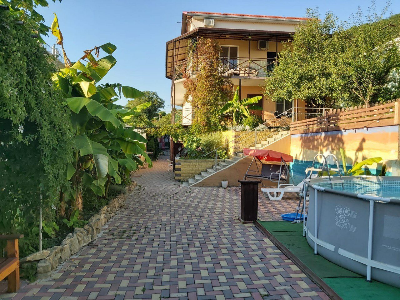 Фото Мандаринка