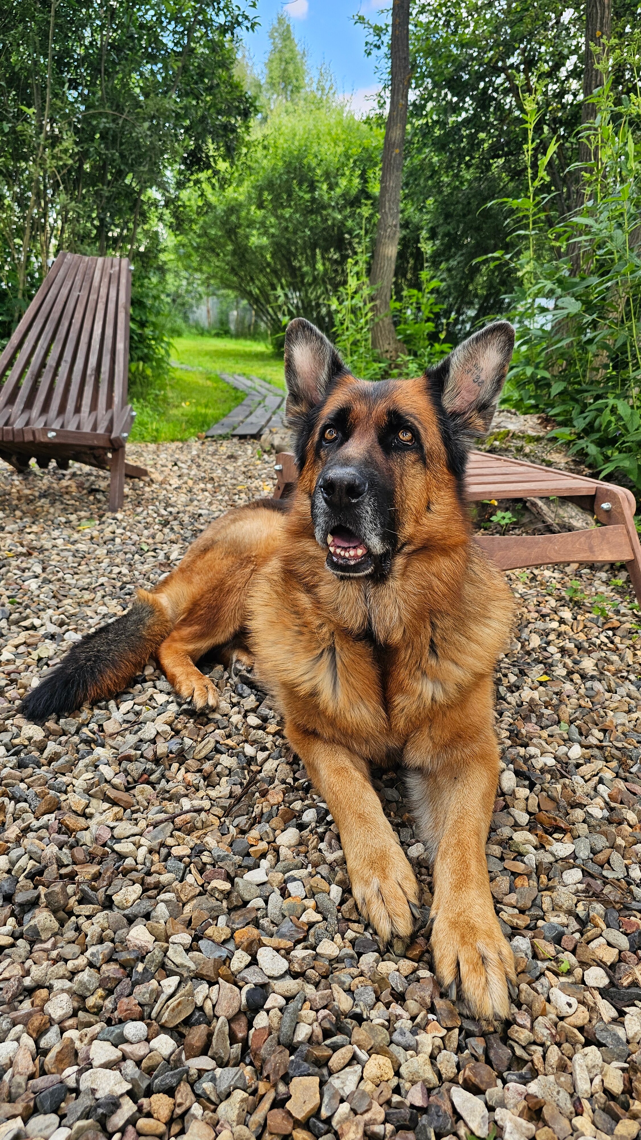 Фото Совиный Берег