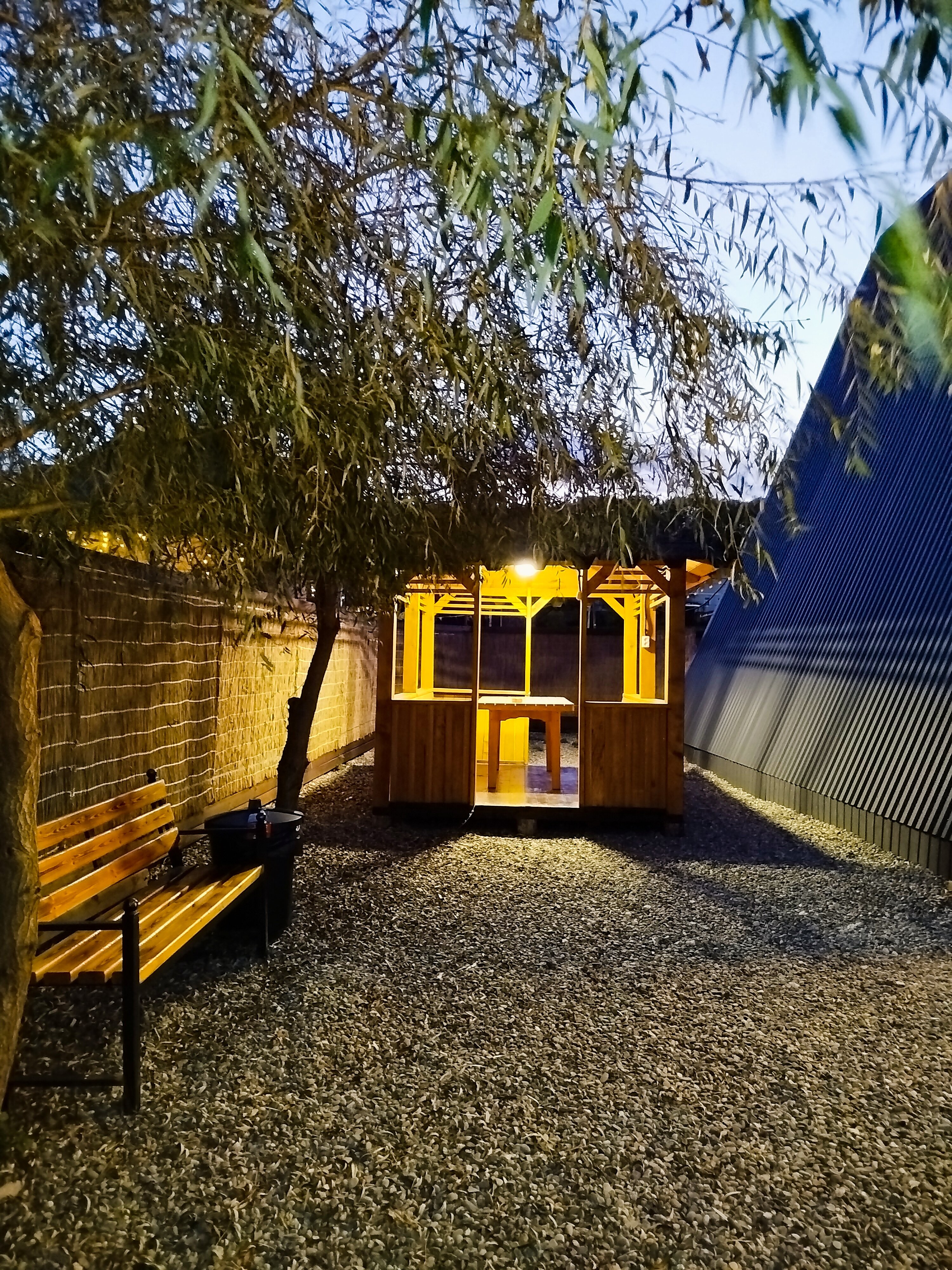 Фото Ёлки-Иголки