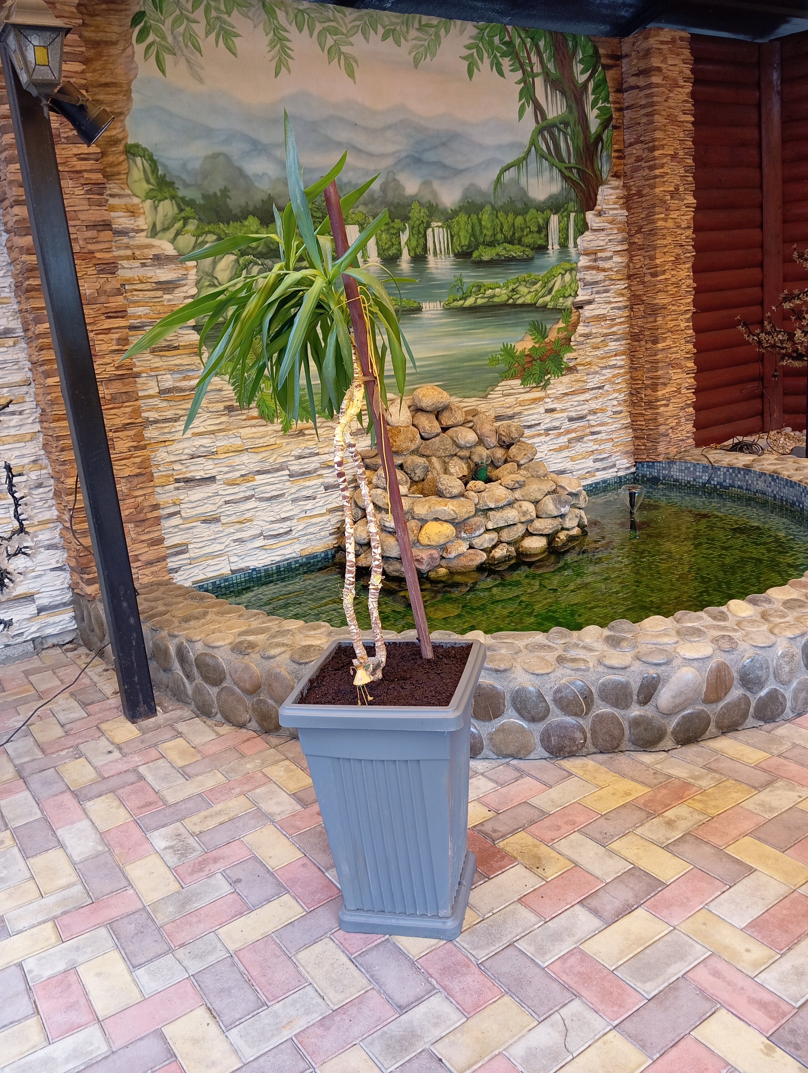 Фото Старый дворик