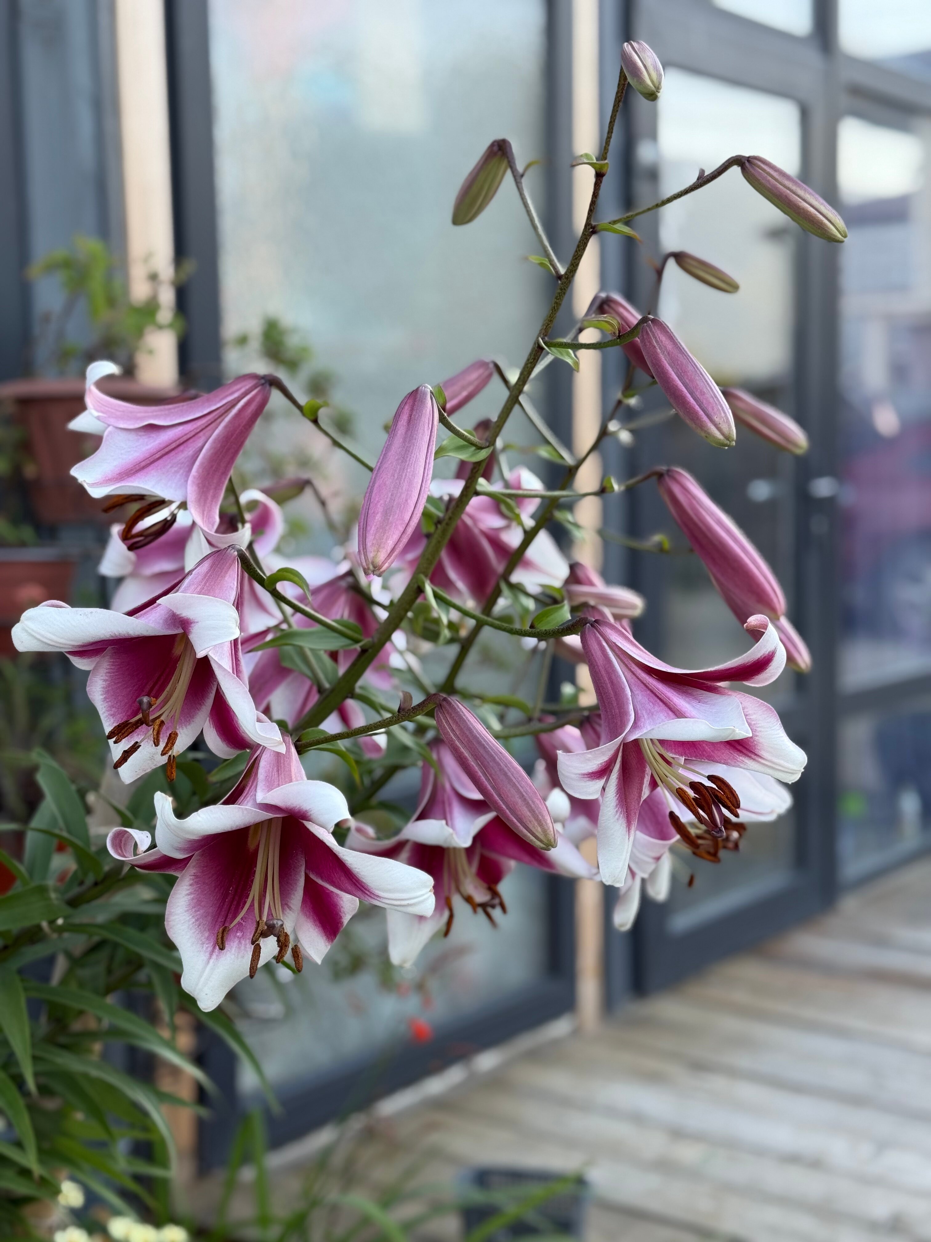 Фото Ретрит-шале Кудара