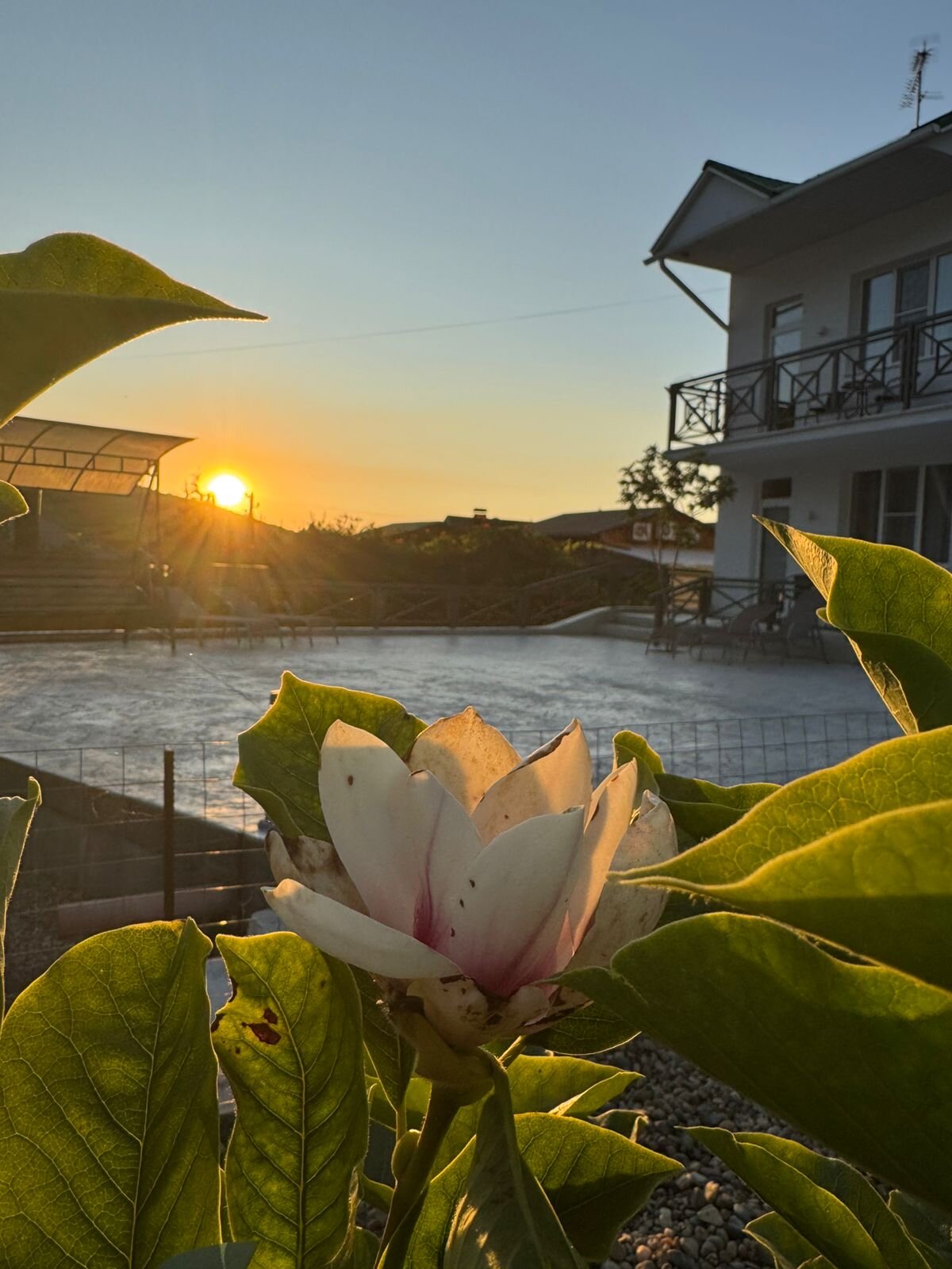 Фото Море и солнце