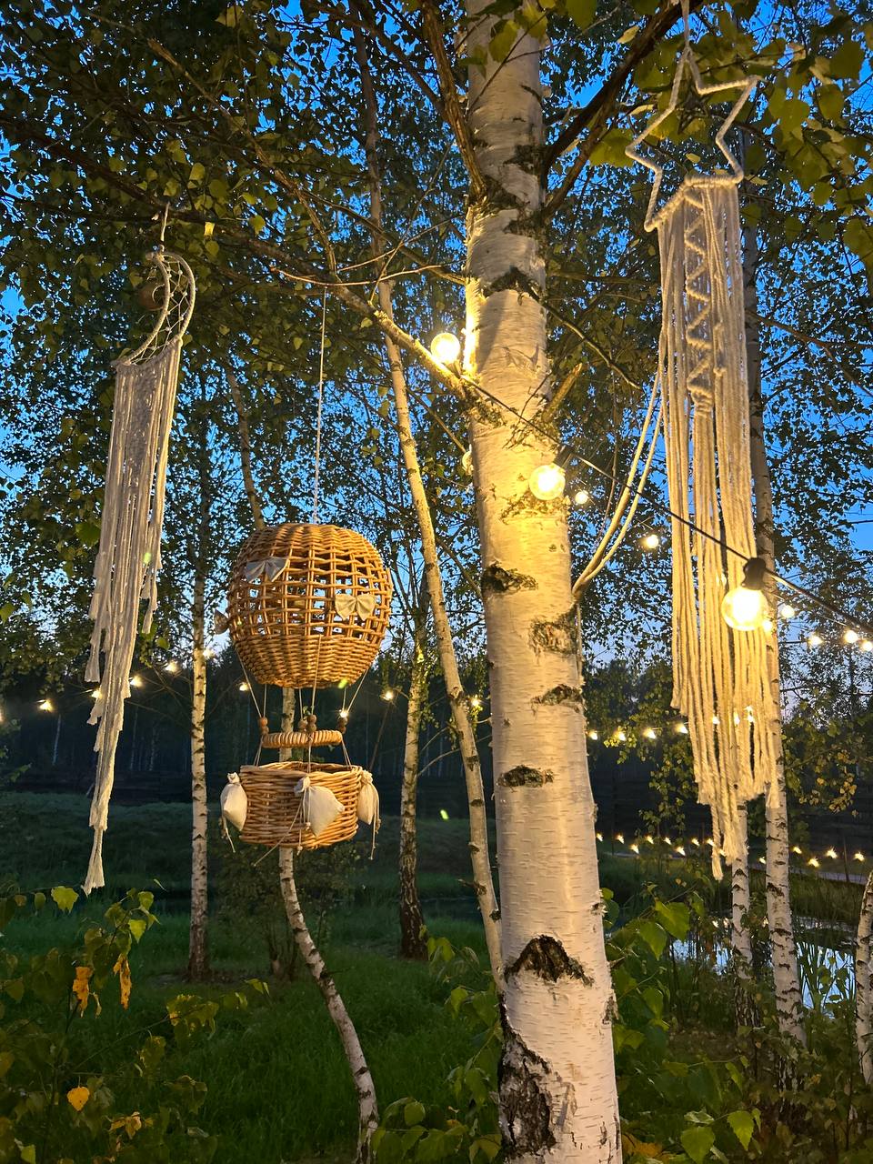 Фото В Поле