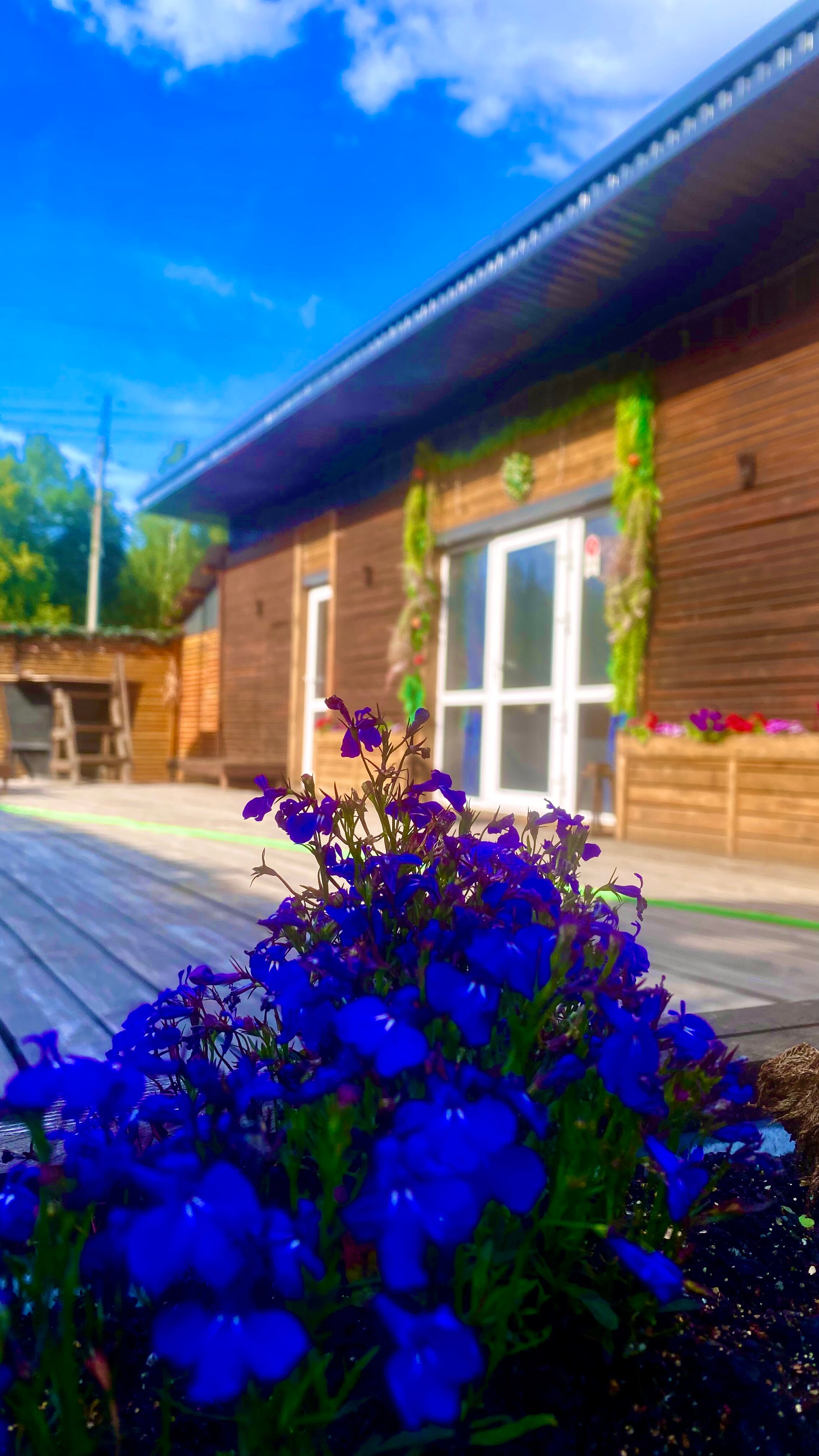 Фото Домик Рокс