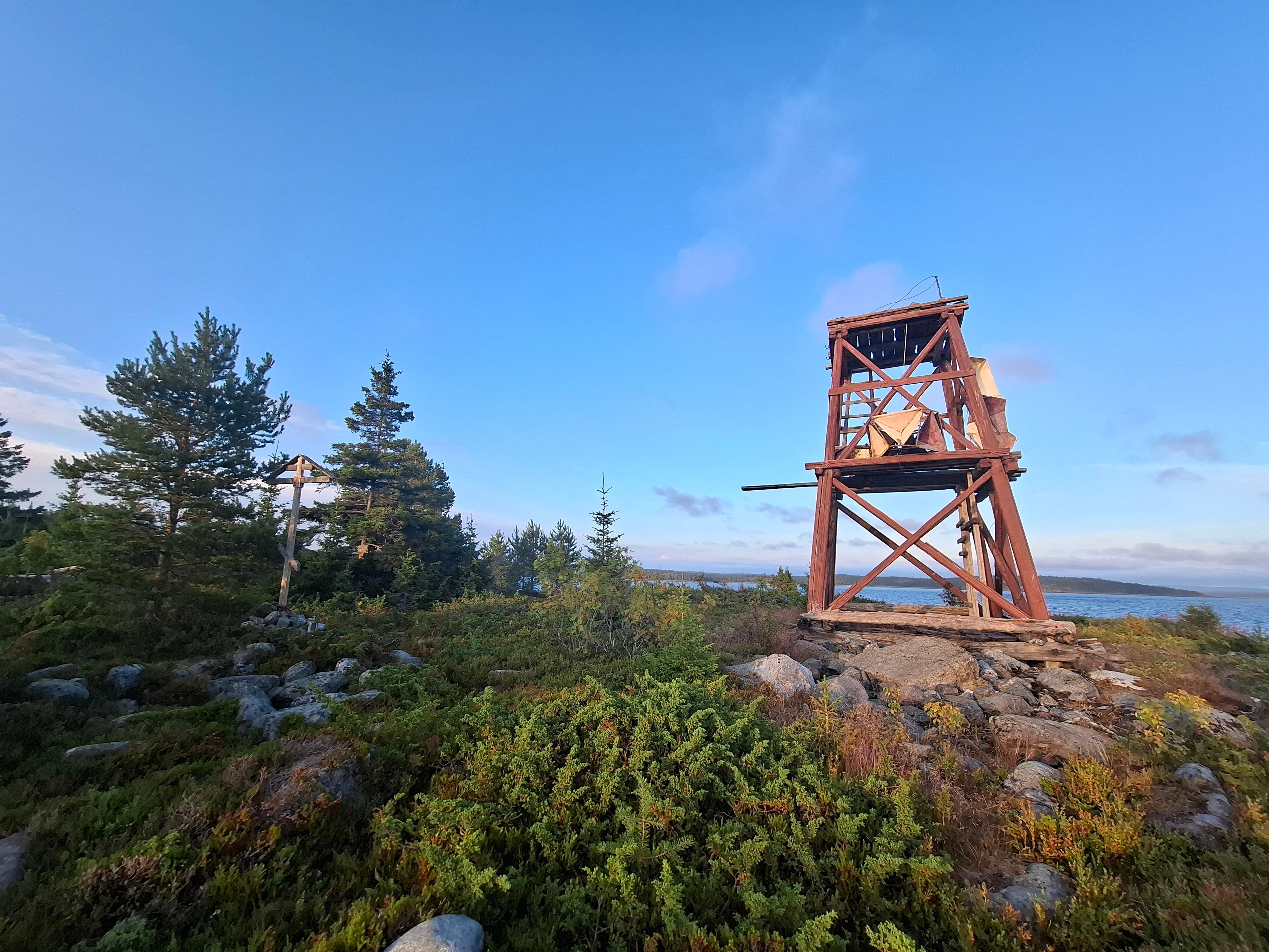 Фото Cedar Grass Белое море