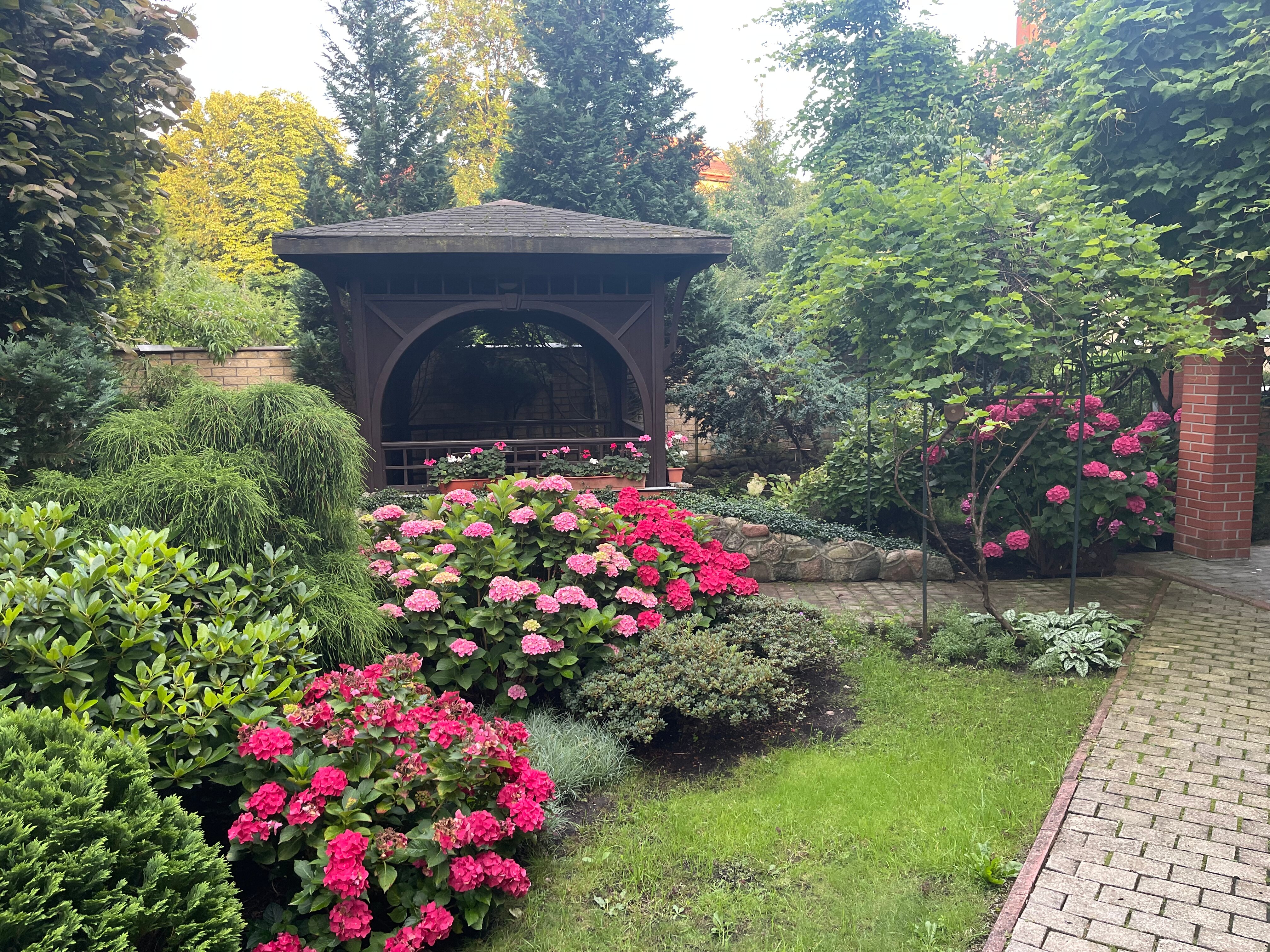 Фото Черепаха