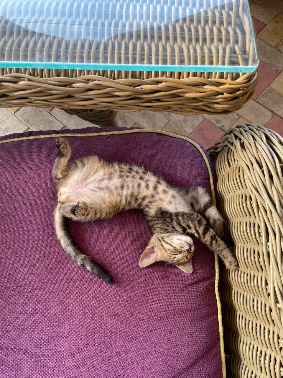 Фото Rodnik village&spa