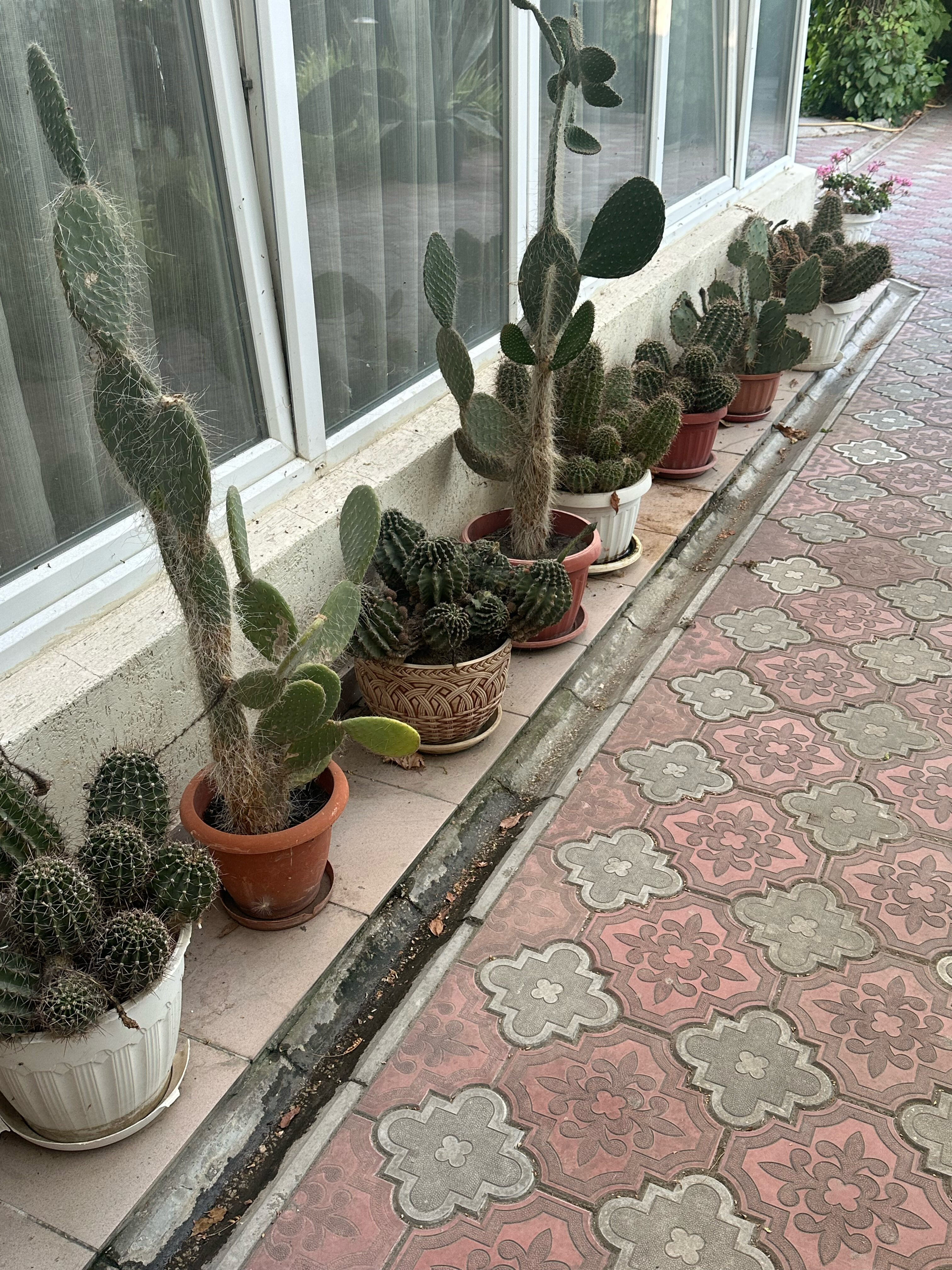 Фото Московский