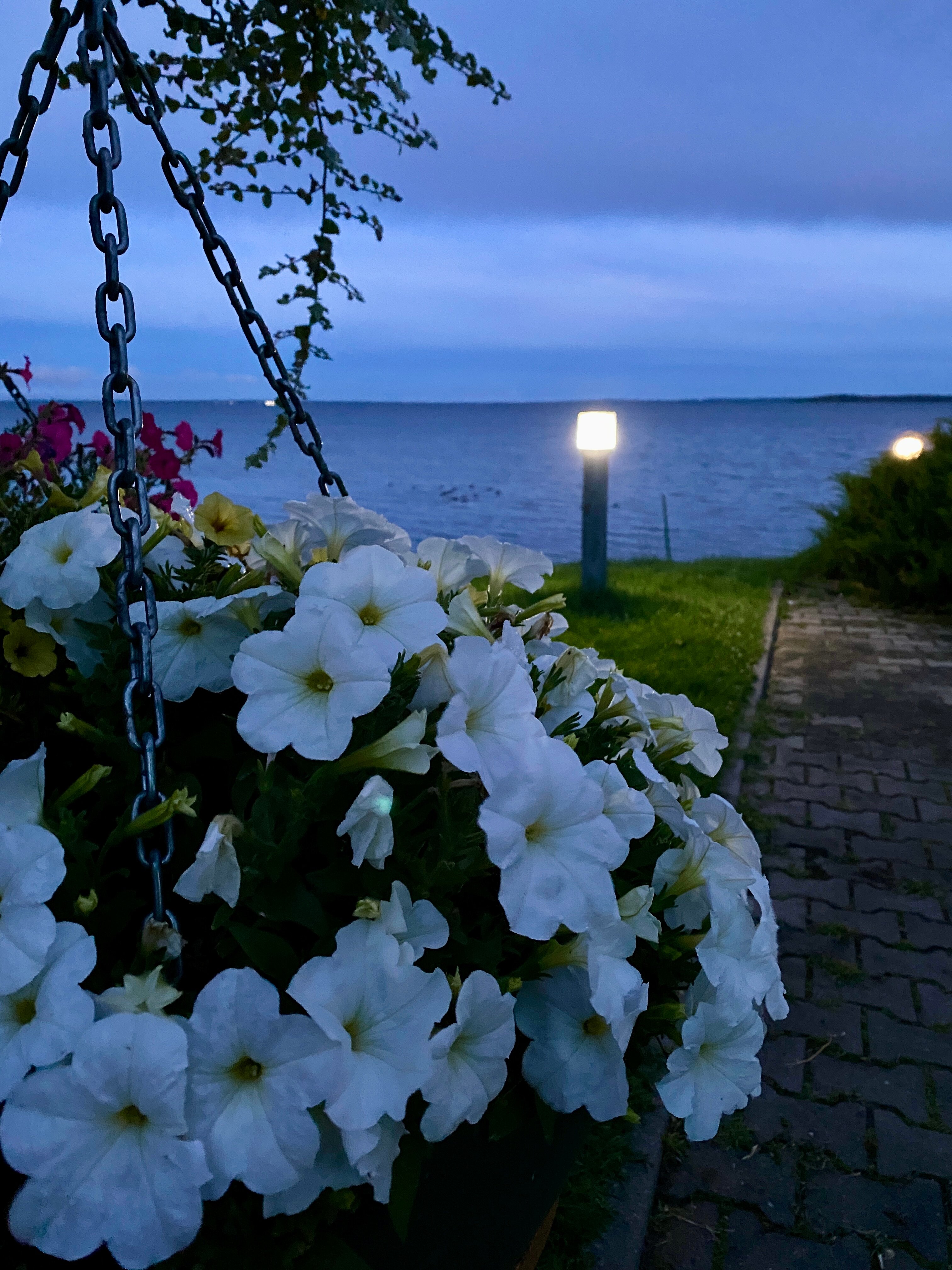 Фото Санаторий Нарочь, корпус Нарочь