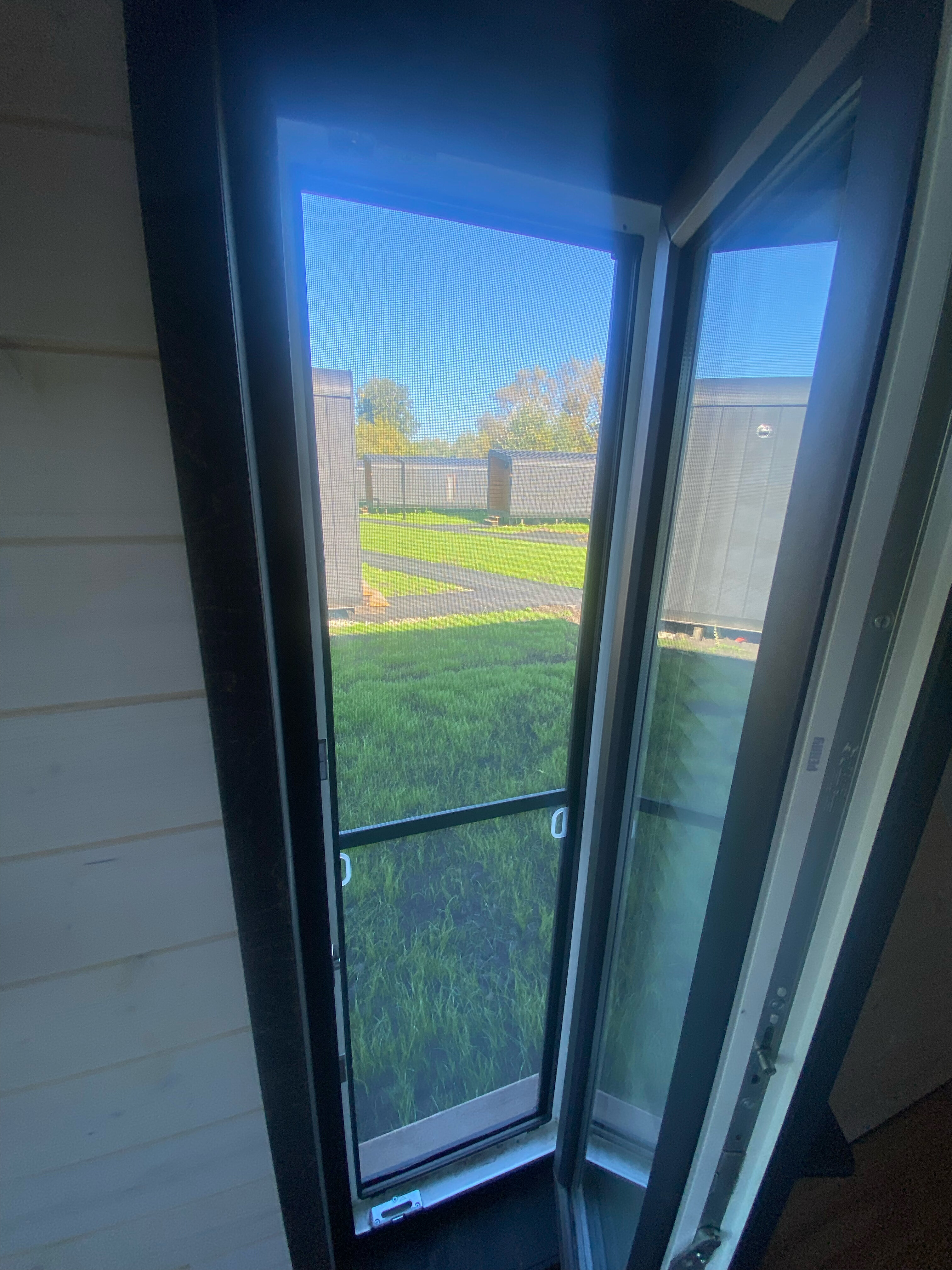 Фото Яблоко