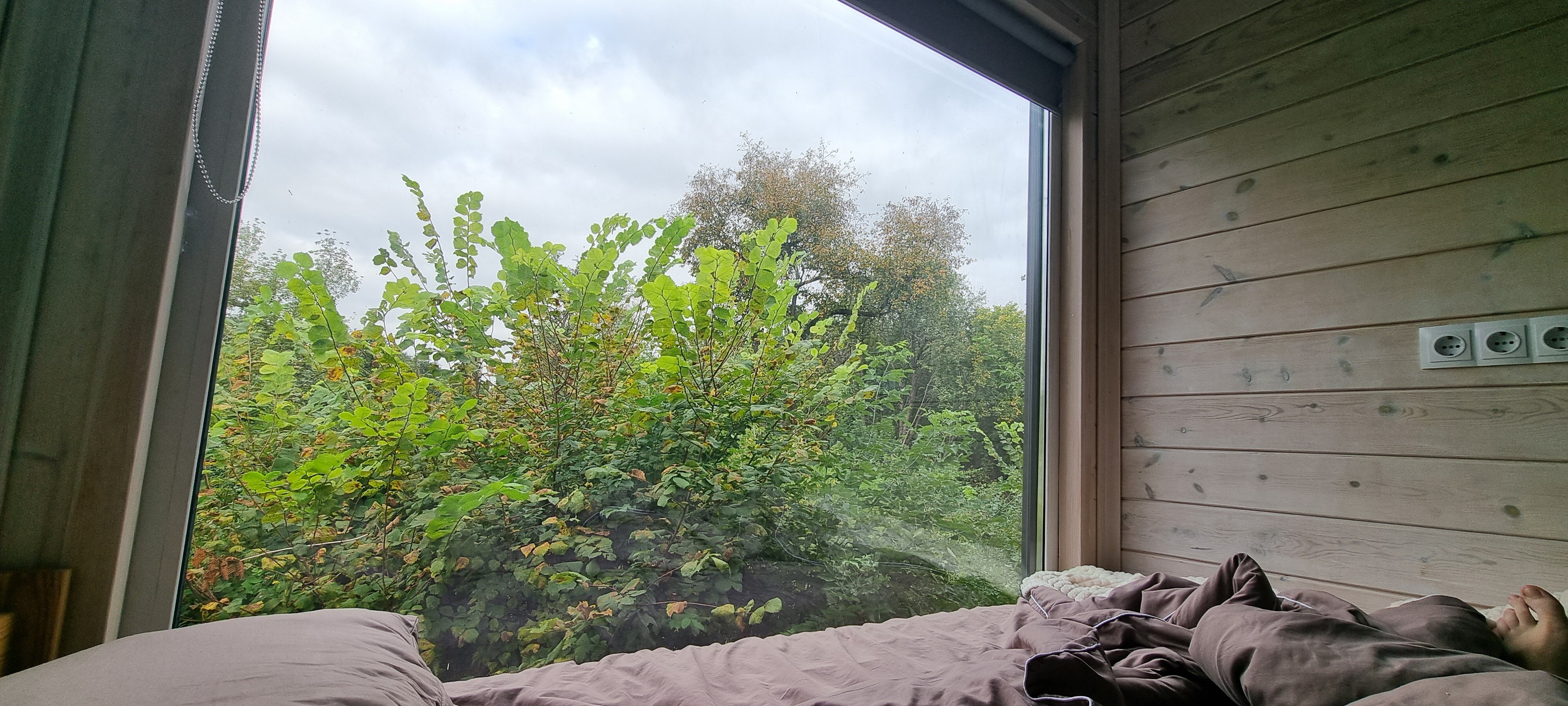 Фото Горыныч Хаус