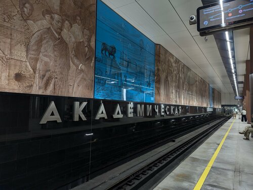 Академическая (Москва, улица Дмитрия Ульянова), станция метро в Москве