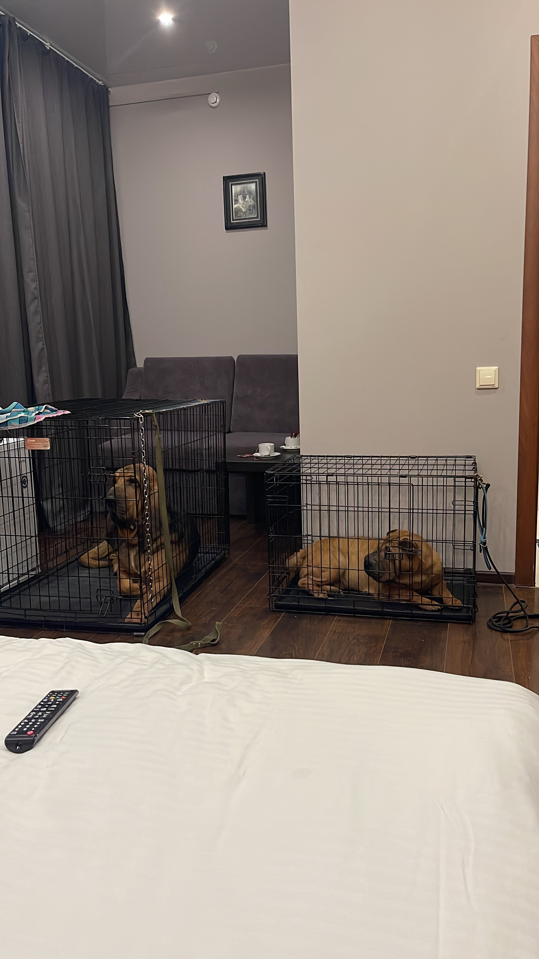 Фото Глория