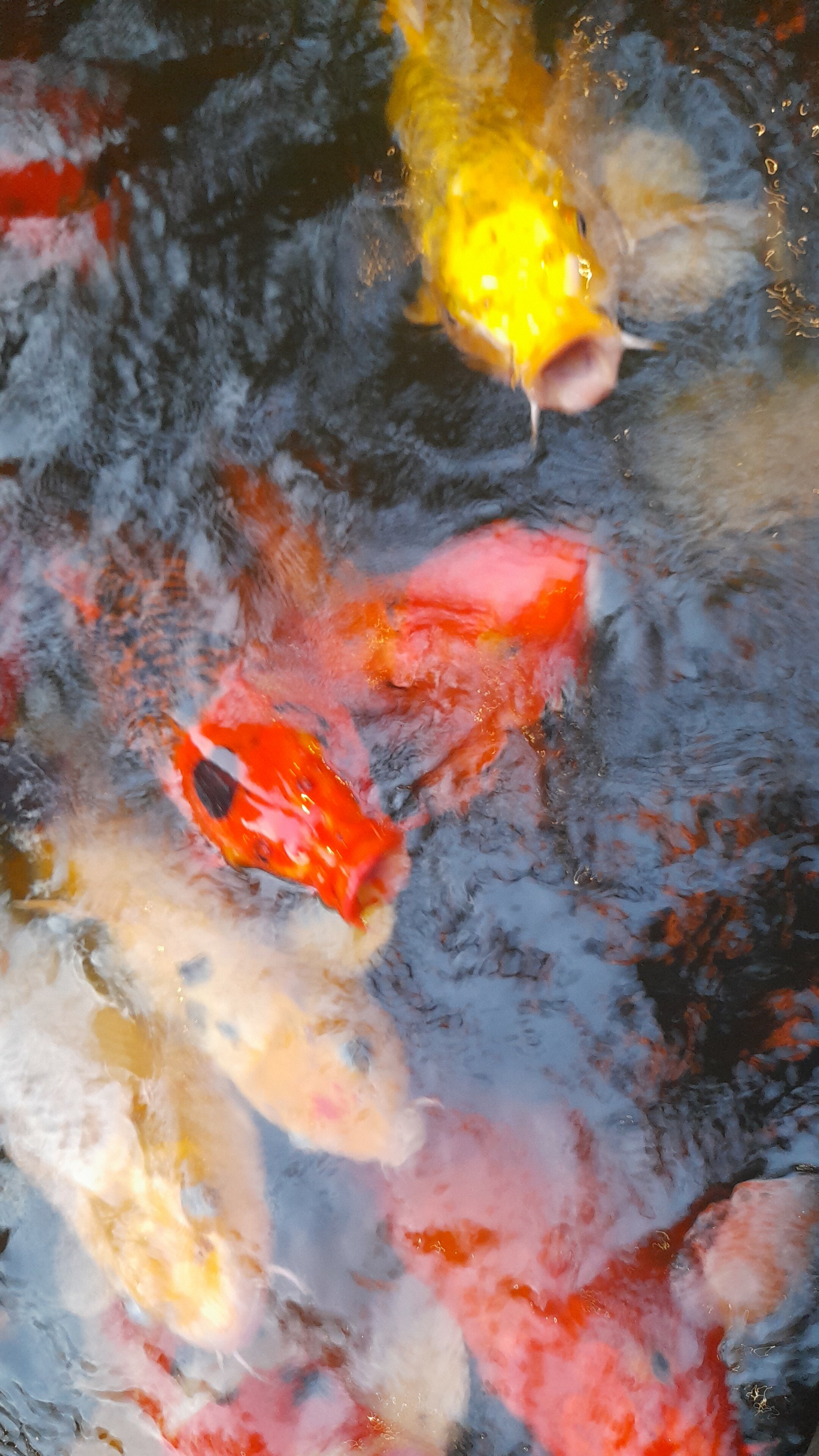 Фото Potique Hotel