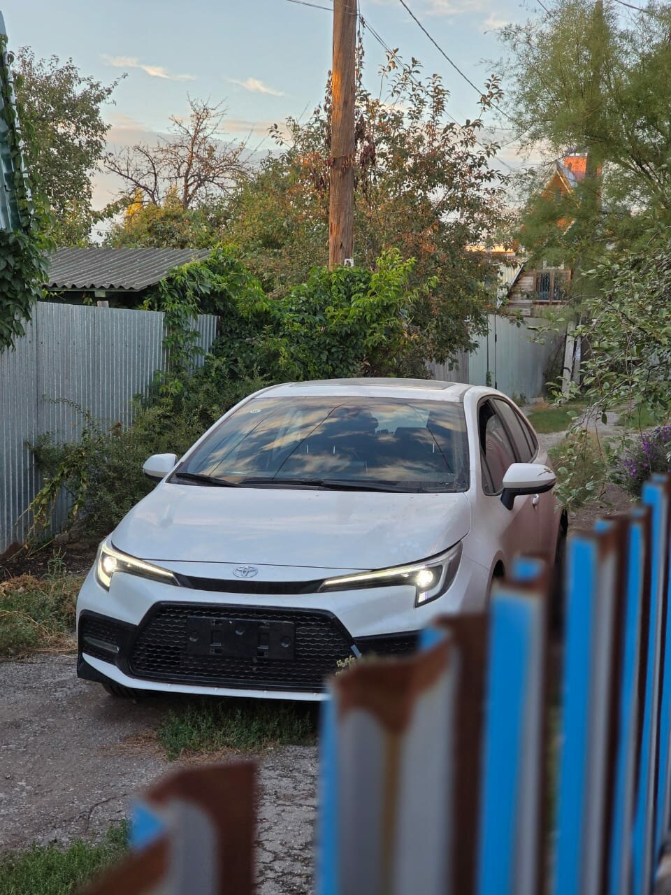 review_photo