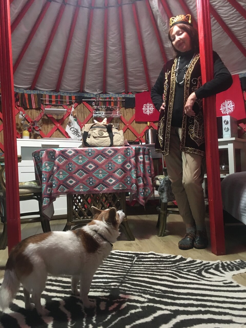 Фото Викинг